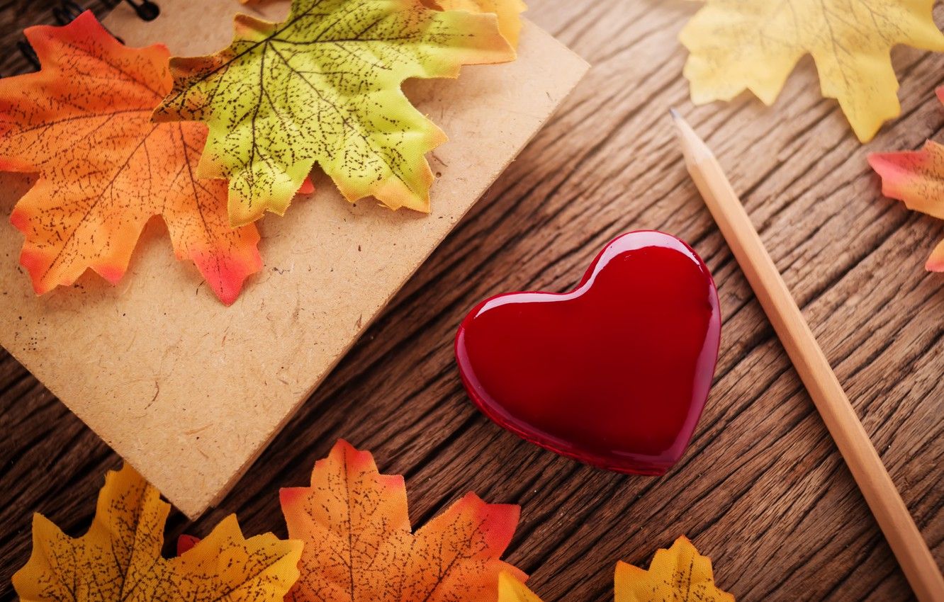 1332x850 Wallpaper autumn, leaves, love, heart, red, love, heart, wood on WallpaperBat