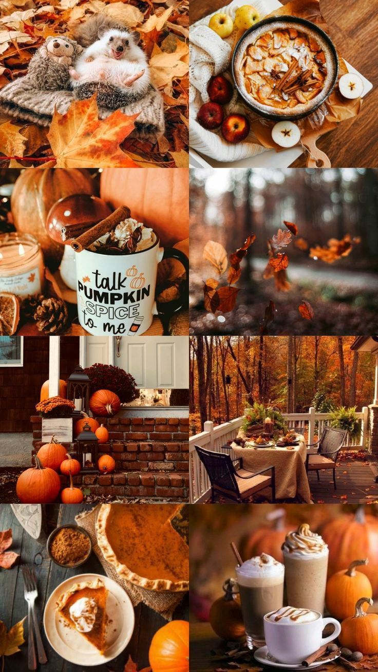 Thanksgiving Collage Wallpapers - 4k, HD Thanksgiving Collage ...