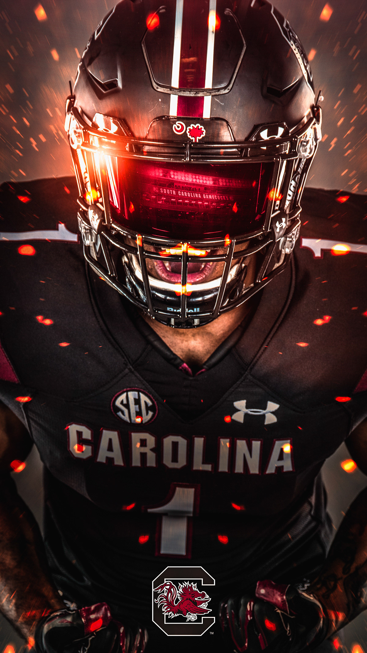 south-carolina-wallpapers-4k-hd-south-carolina-backgrounds-on