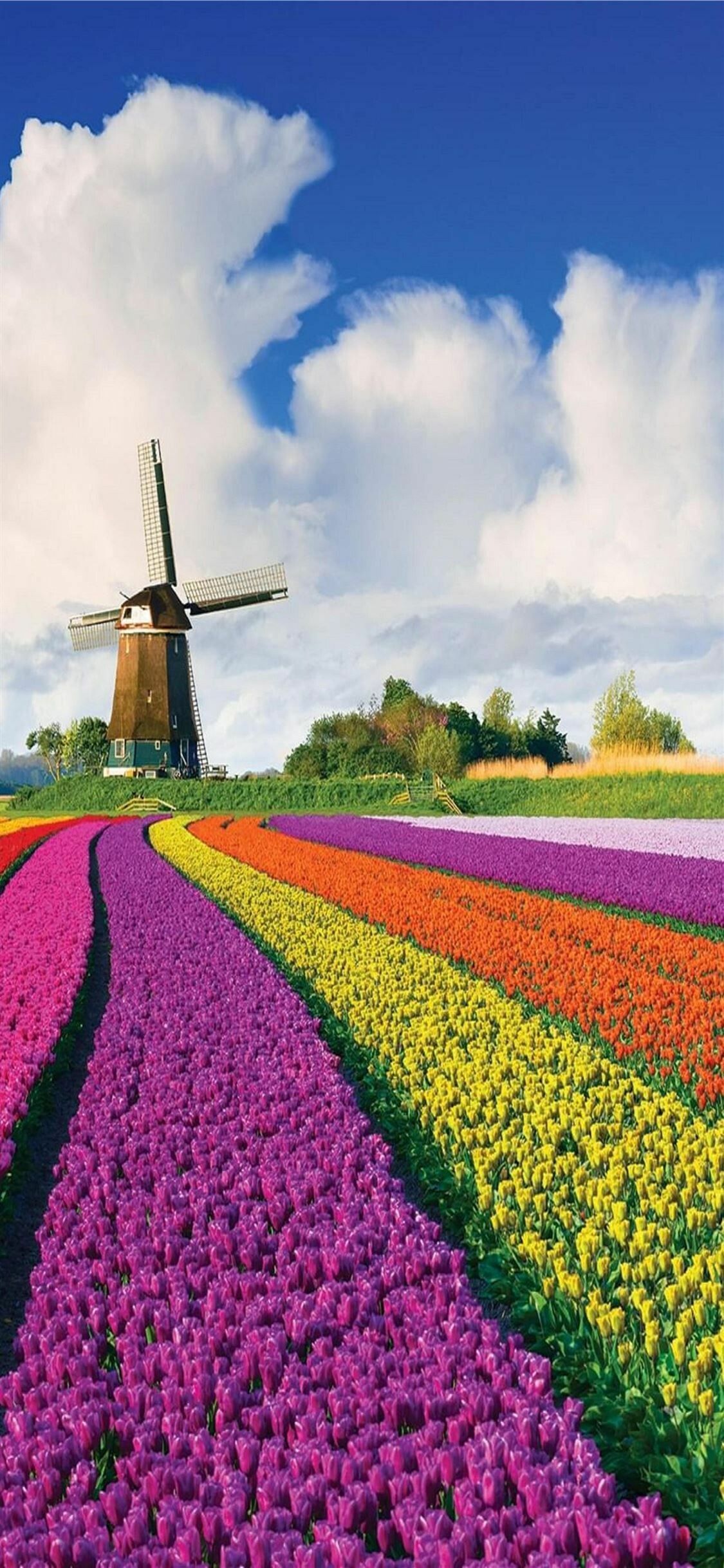 Nederland Wallpapers - 4k, HD Nederland Backgrounds on WallpaperBat