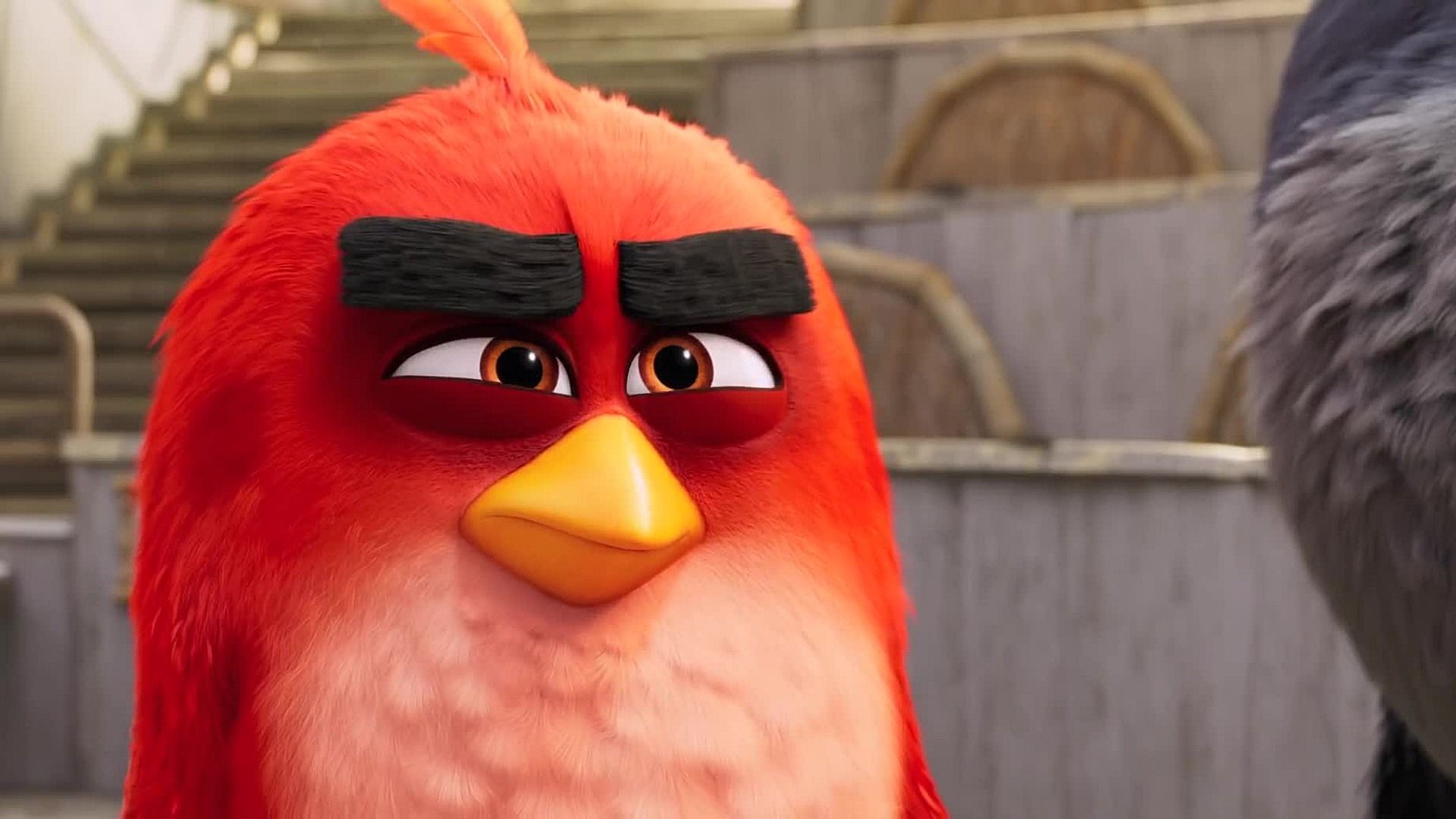 Включи то птица. The Angry Birds movie Red. The Angry Birds movie 2 Red. The Angry Birds movie 2 screencaps.