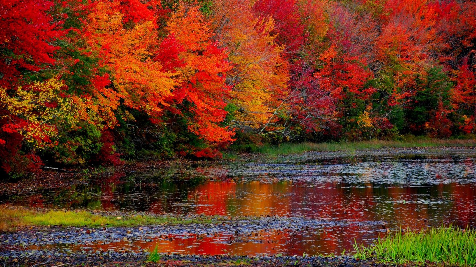 Autumn Falls Wallpapers - 4k, HD Autumn Falls Backgrounds on WallpaperBat