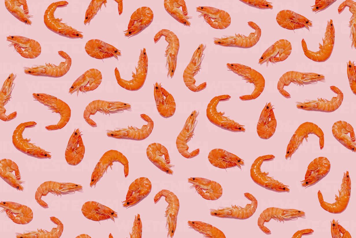 Shrimp Wallpapers - 4k, HD Shrimp Backgrounds on WallpaperBat