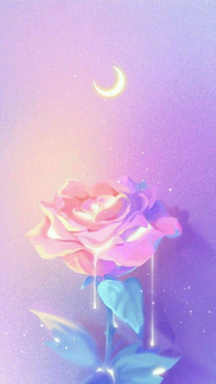Rose mobile wallpapers 4k hd rose mobile backgrounds on wallpaperbat
