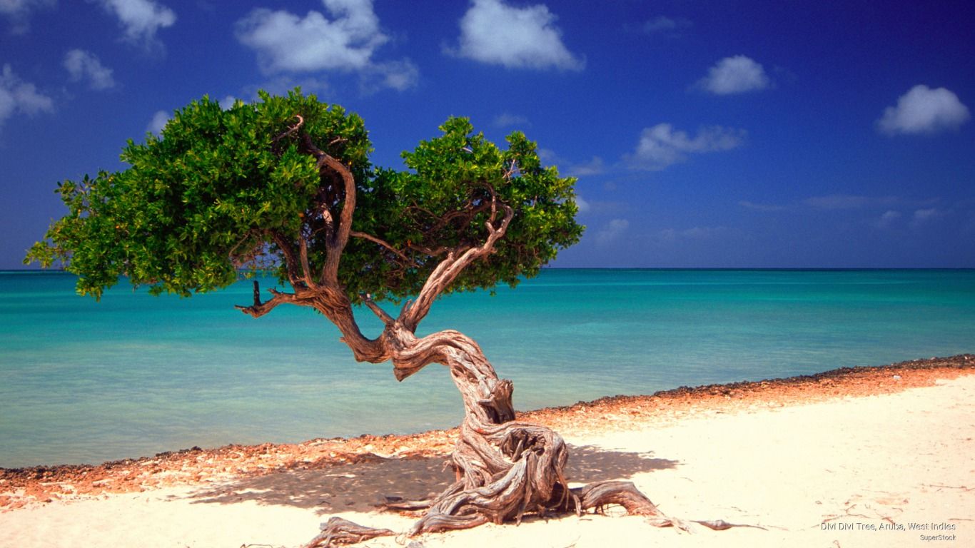 Aruba Wallpapers - 4k, HD Aruba Backgrounds on WallpaperBat