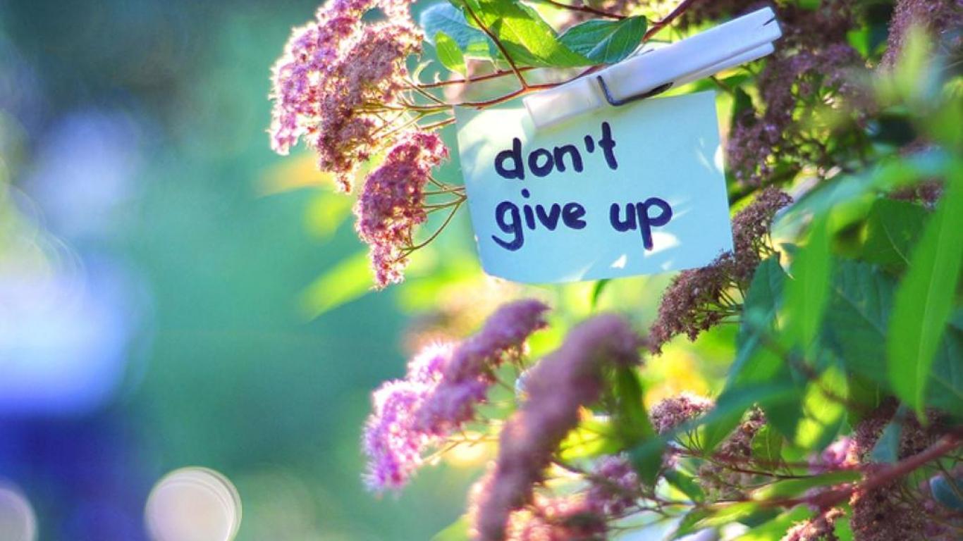 Did you give up. Don`t give up. Обои don't give up. Dont give AP. Don't give up up Wallpaper.