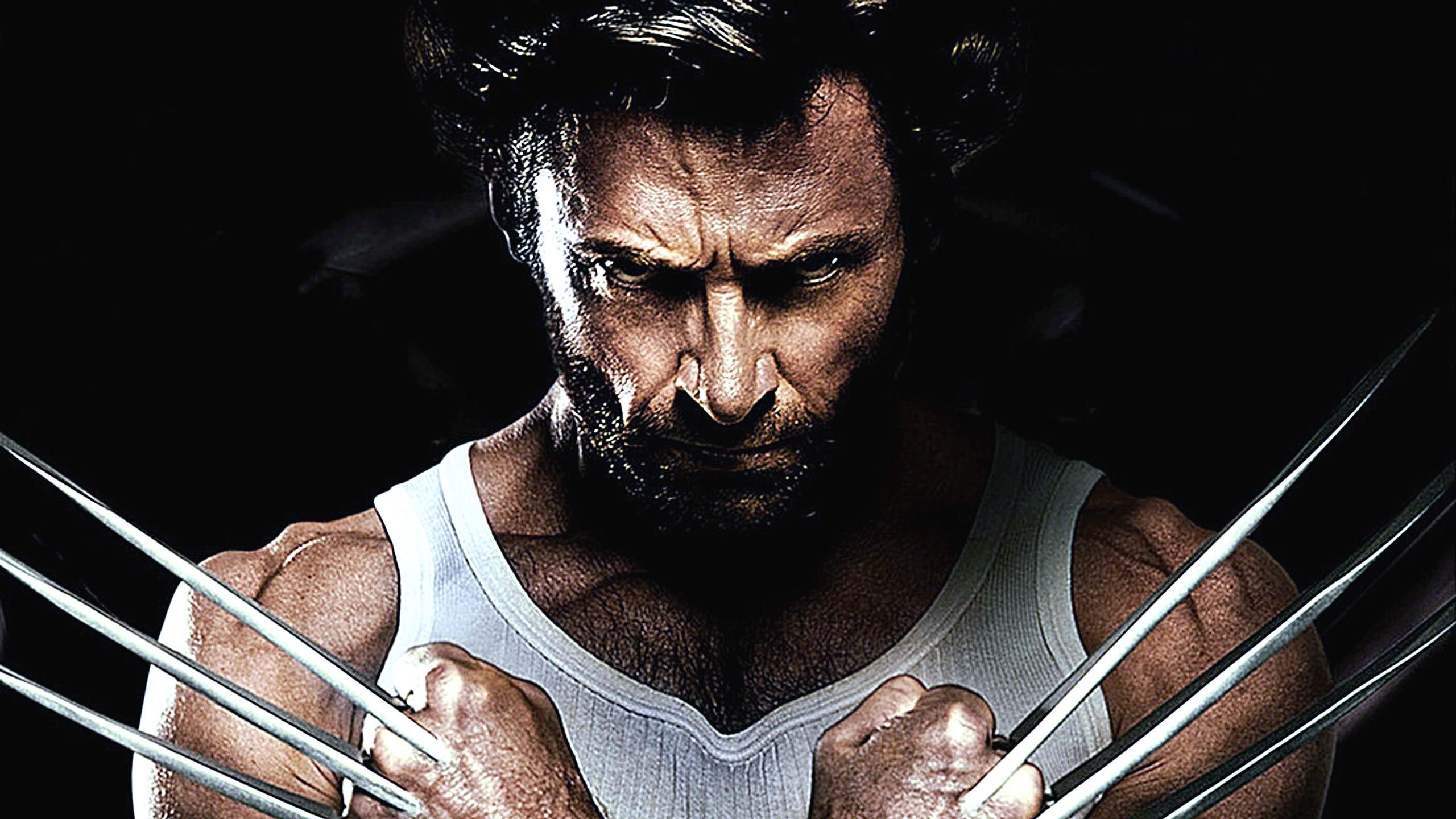 Wolverine HD Wallpapers - 4k, HD Wolverine Backgrounds on WallpaperBat