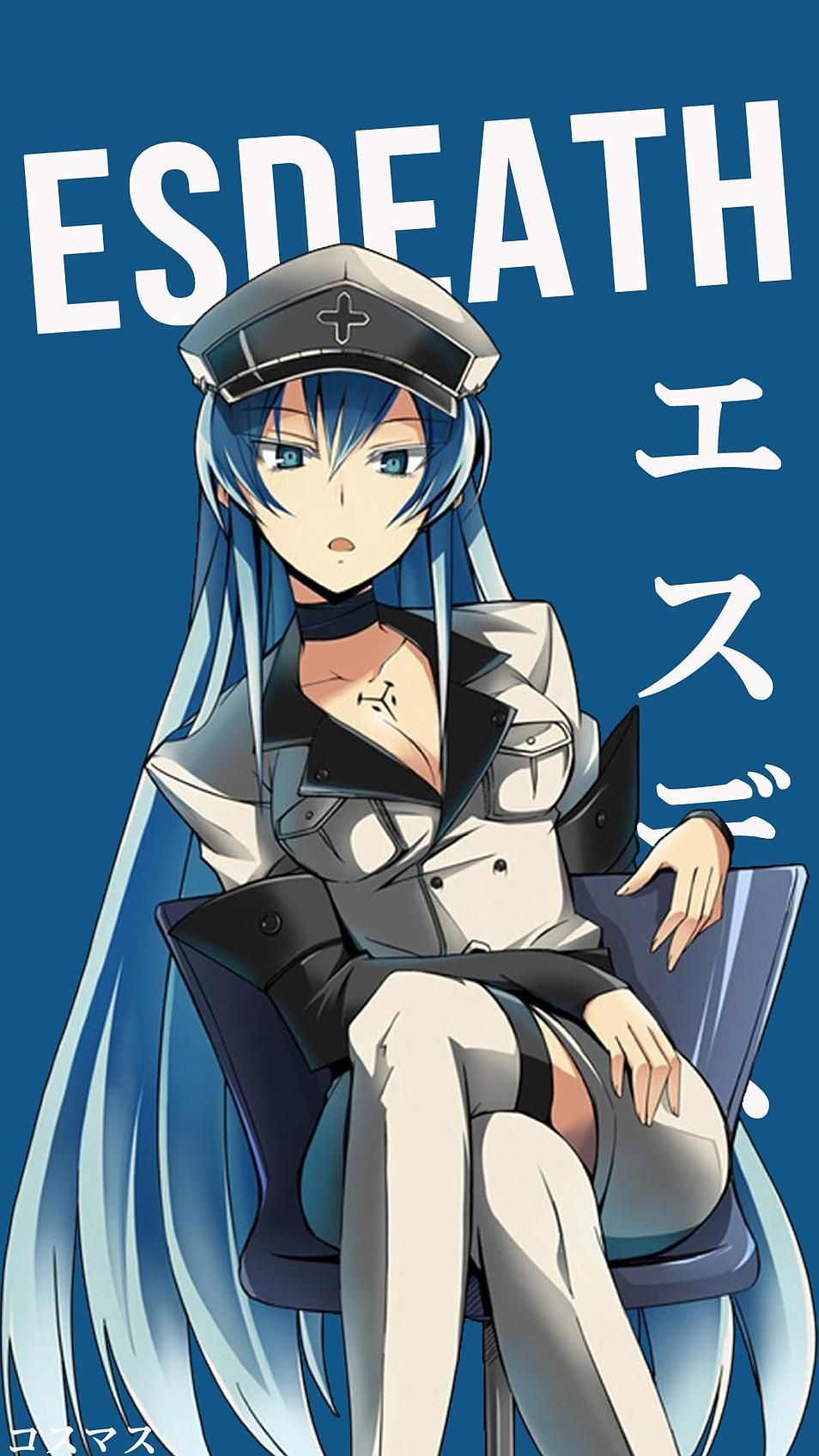 Esdeath Wallpapers - 4k, HD Esdeath Backgrounds on WallpaperBat
