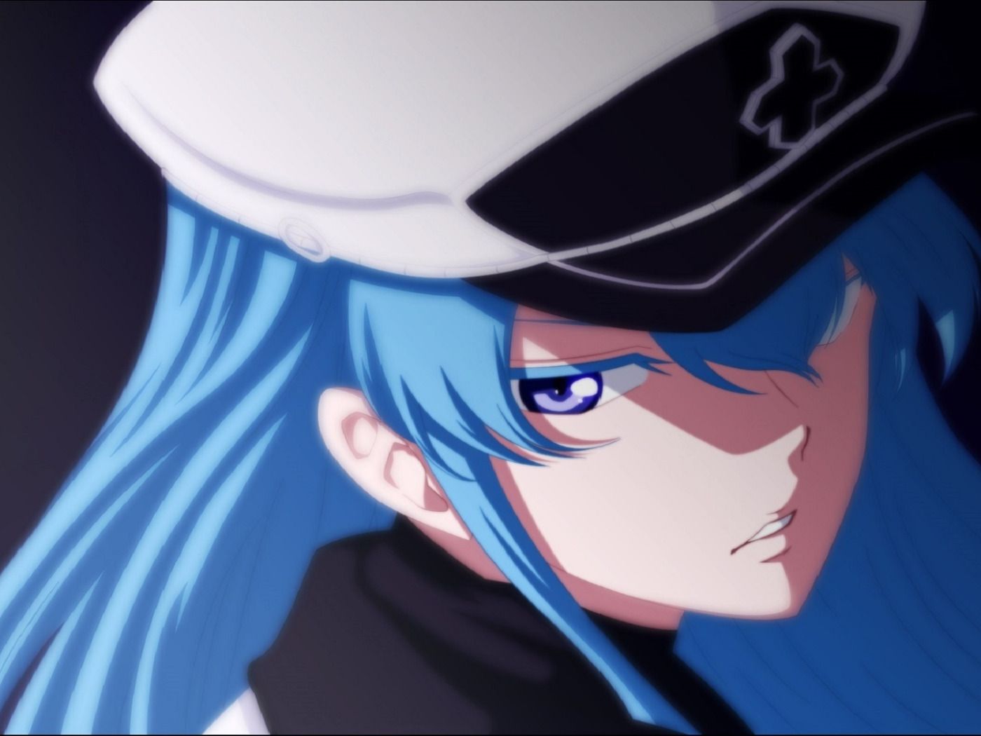 Esdeath Wallpapers - 4k, HD Esdeath Backgrounds on WallpaperBat