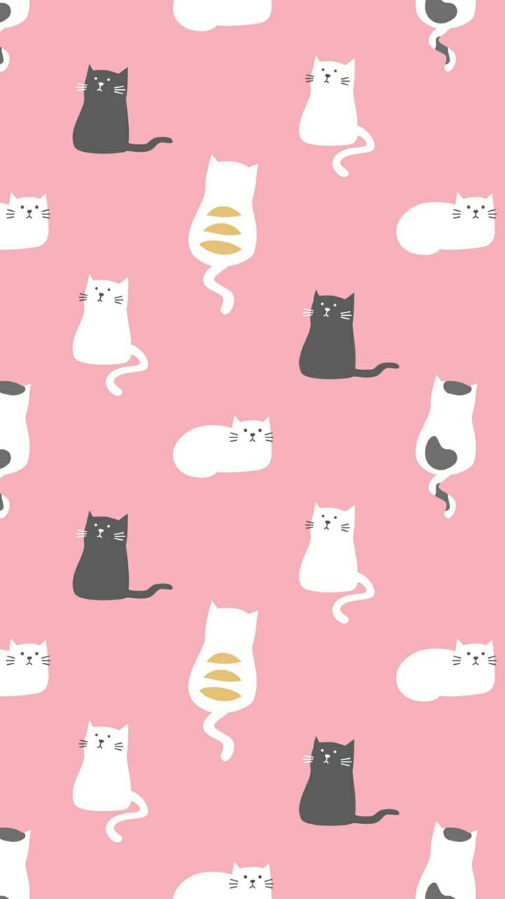 Kawaii Cat Wallpapers 4k Hd Kawaii Cat Backgrounds On Wallpaperbat