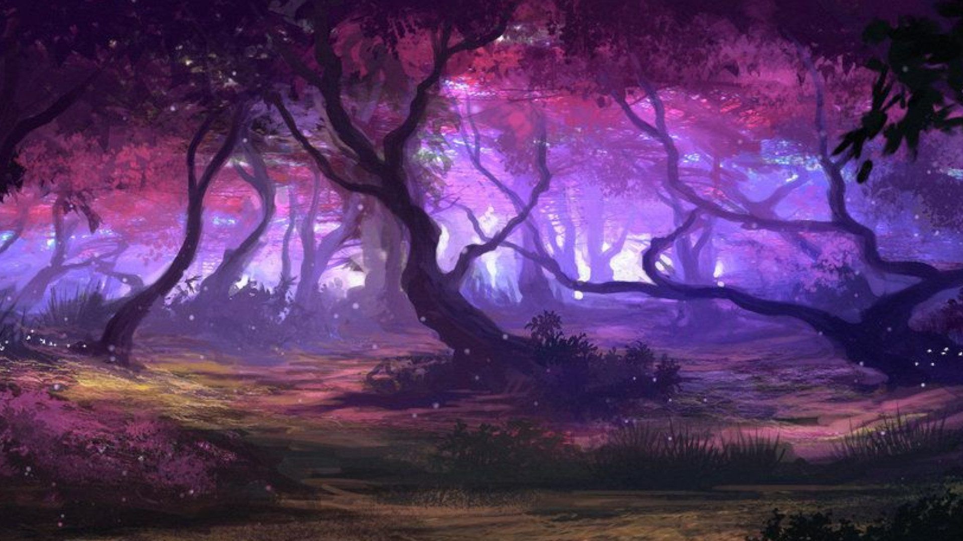 Magic Forest Wallpapers - 4k, HD Magic Forest Backgrounds on WallpaperBat