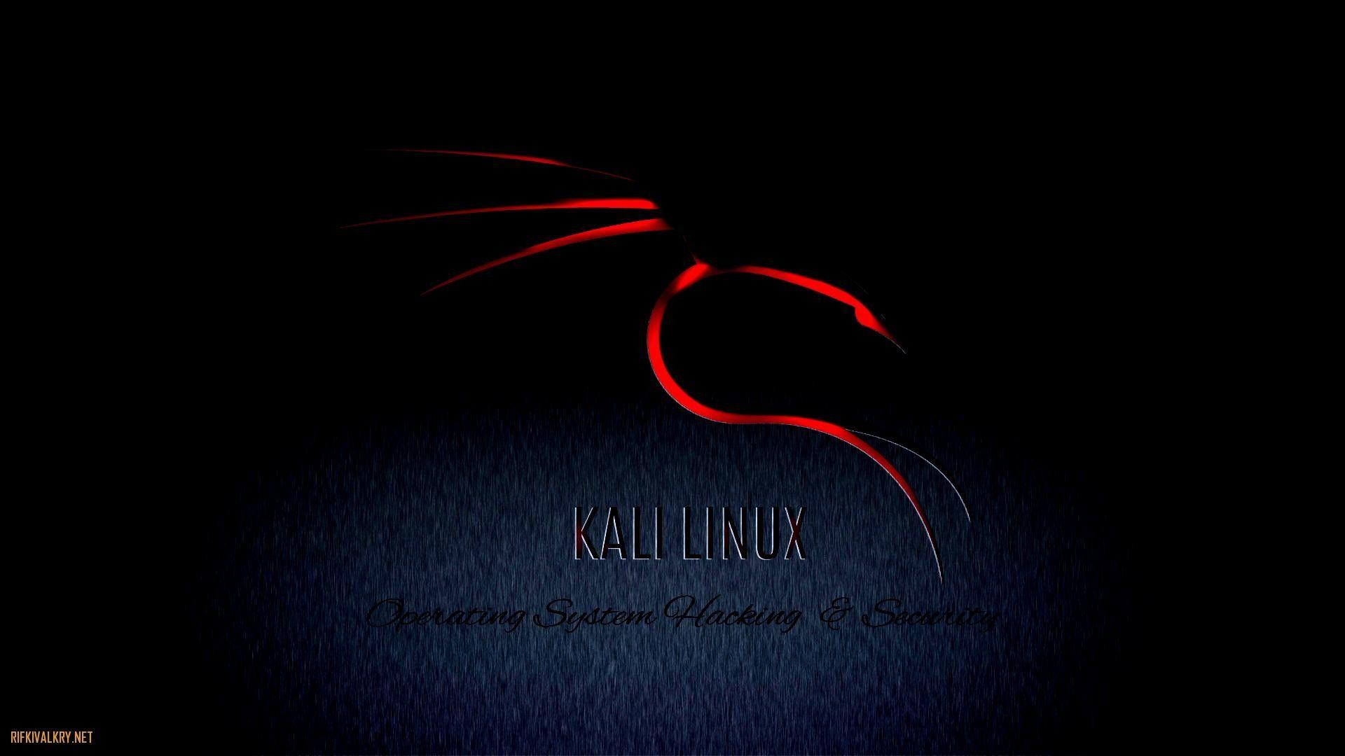 Kali Linux Hd Wallpapers 4k Hd Kali Linux Backgrounds On Wallpaperbat
