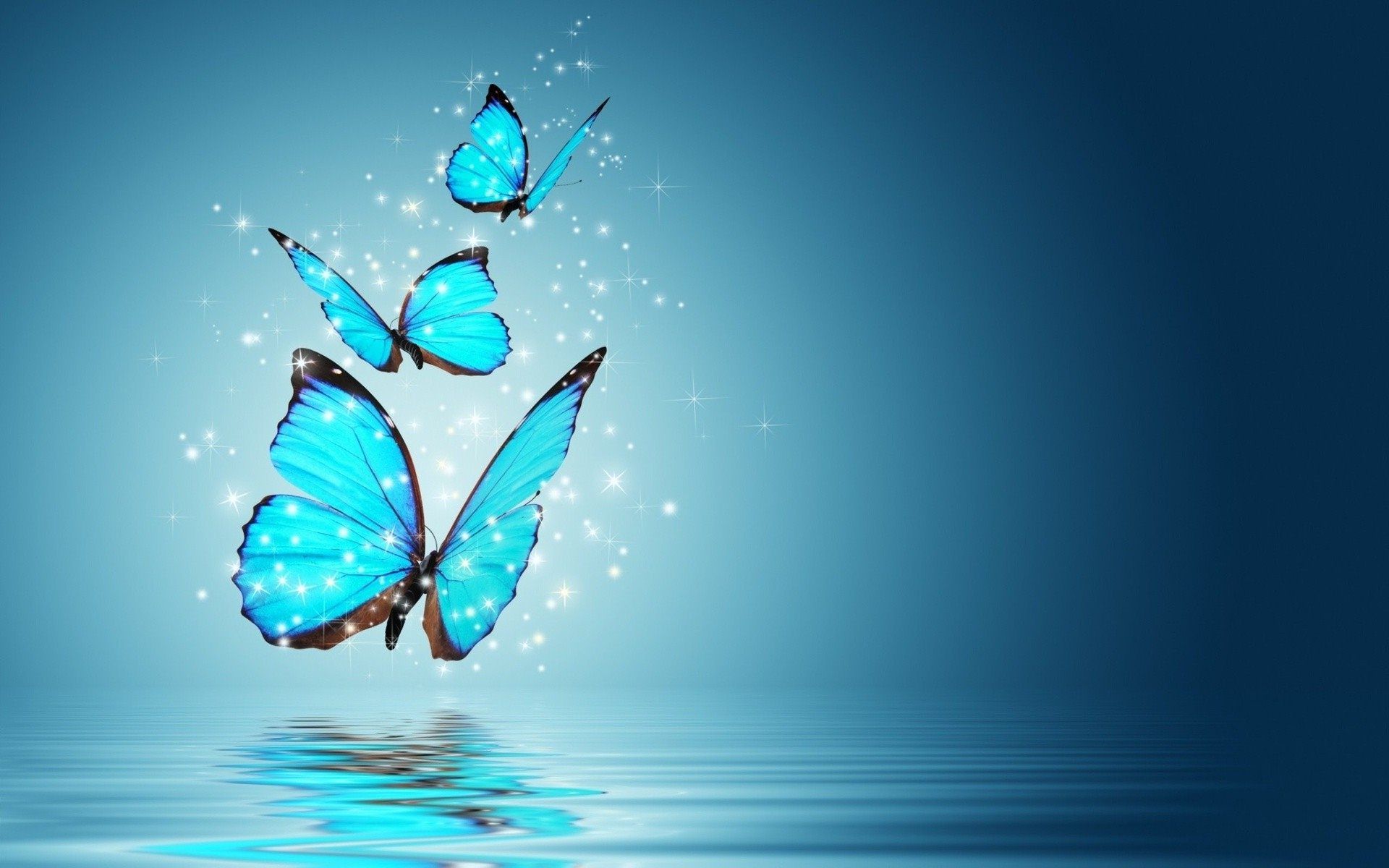 Teal Butterfly Wallpapers - 4k, HD Teal Butterfly Backgrounds on