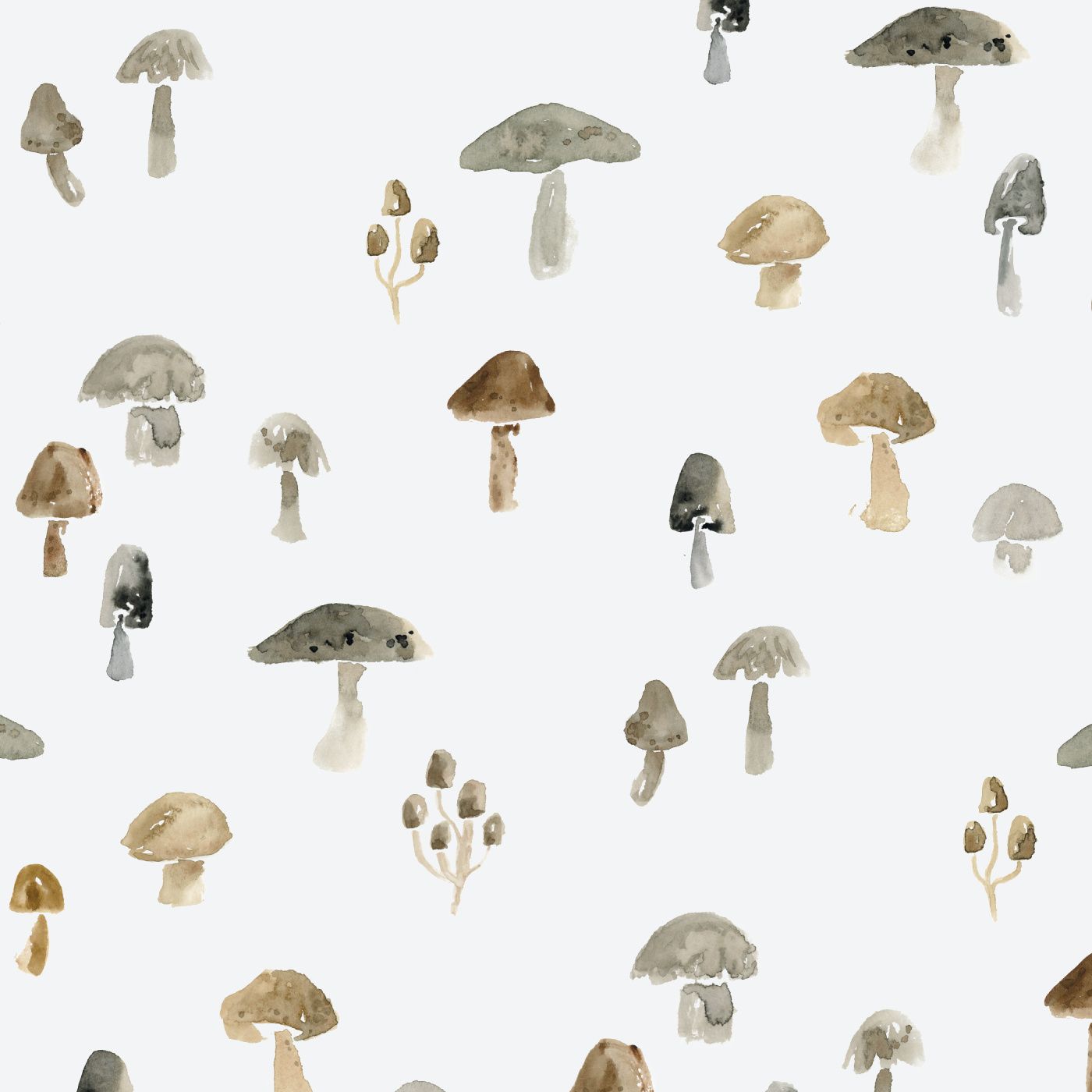 Mushrooms Wallpapers - 4k, HD Mushrooms Backgrounds on WallpaperBat