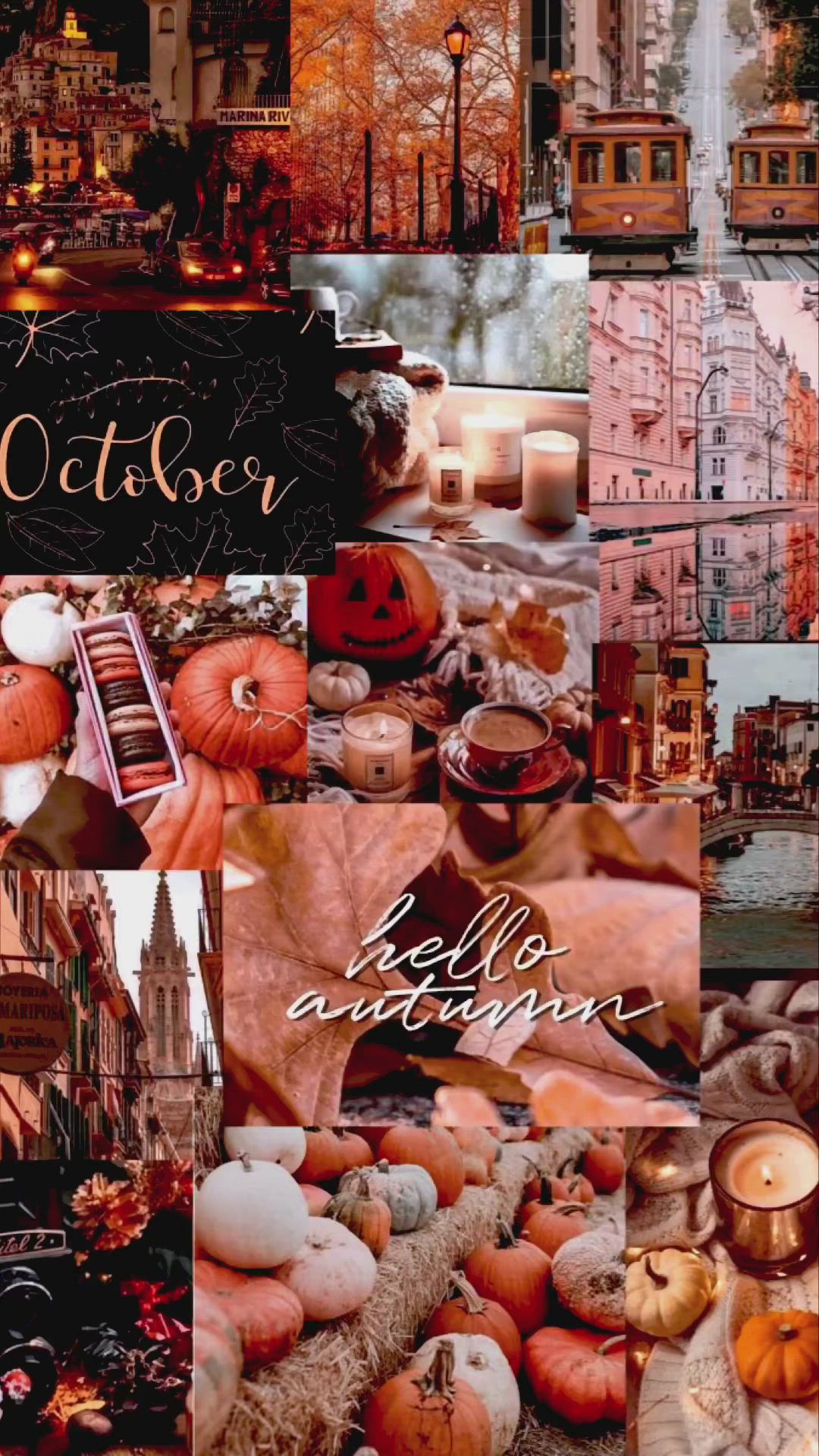 Aesthetic Fall Wallpapers - 4k, HD Aesthetic Fall Backgrounds on ...