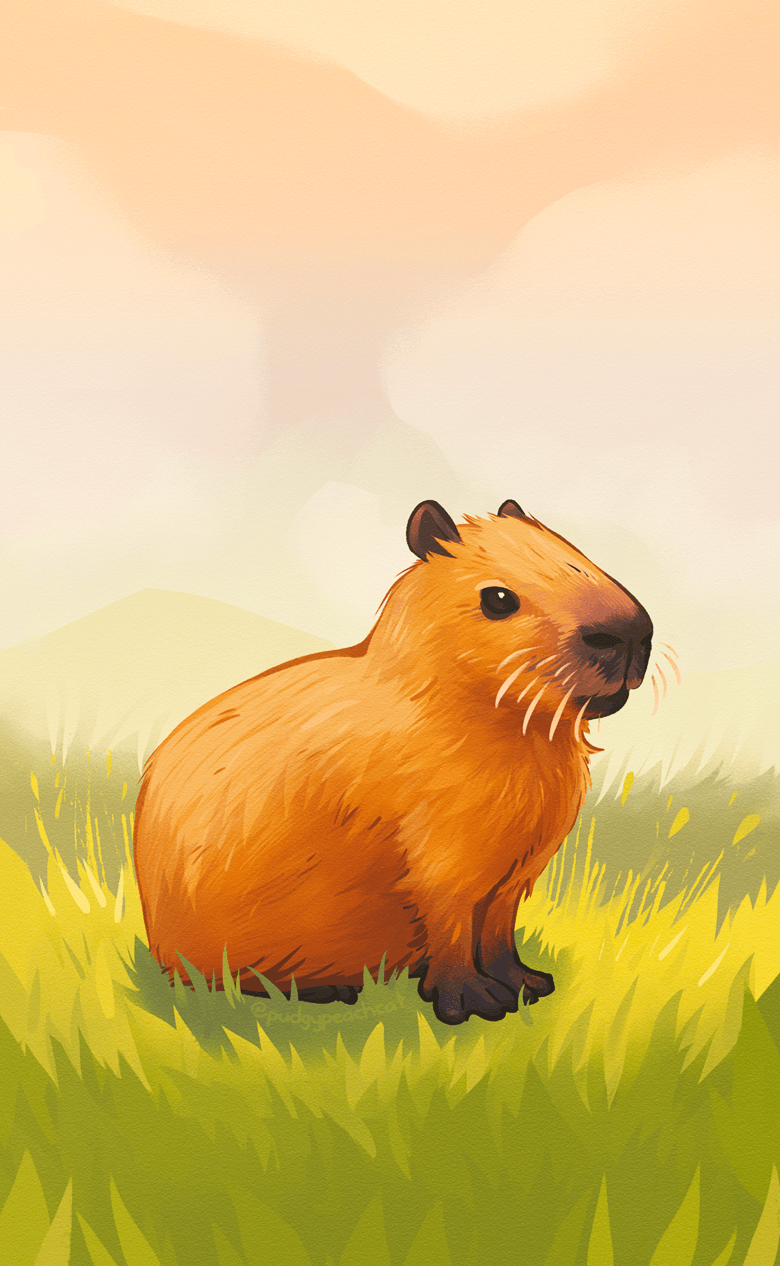 Capybara Wallpapers - 4k, HD Capybara Backgrounds on WallpaperBat