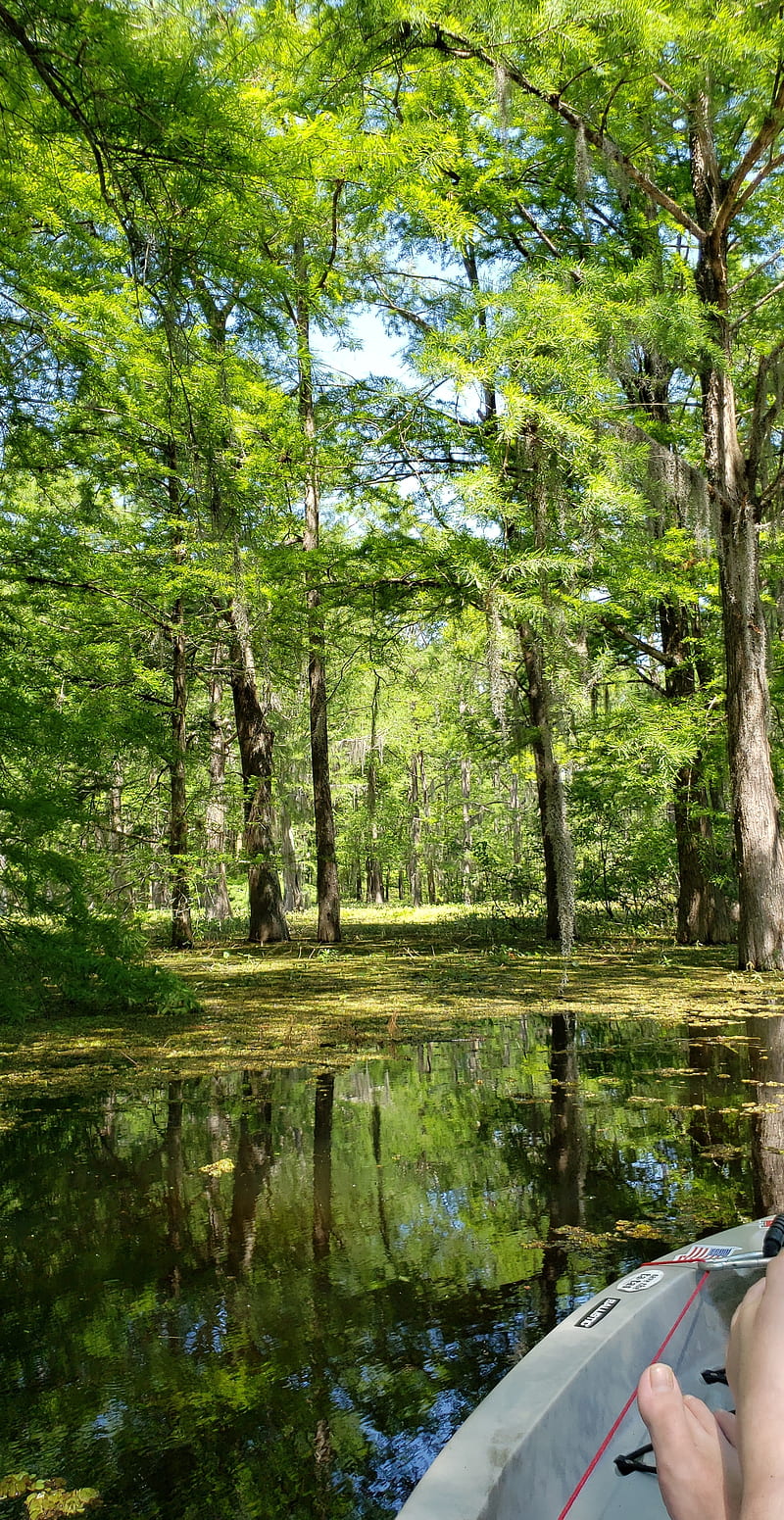 Louisiana Created A Market To Reduce Water Pollution. Will It Actually Work? Photograph