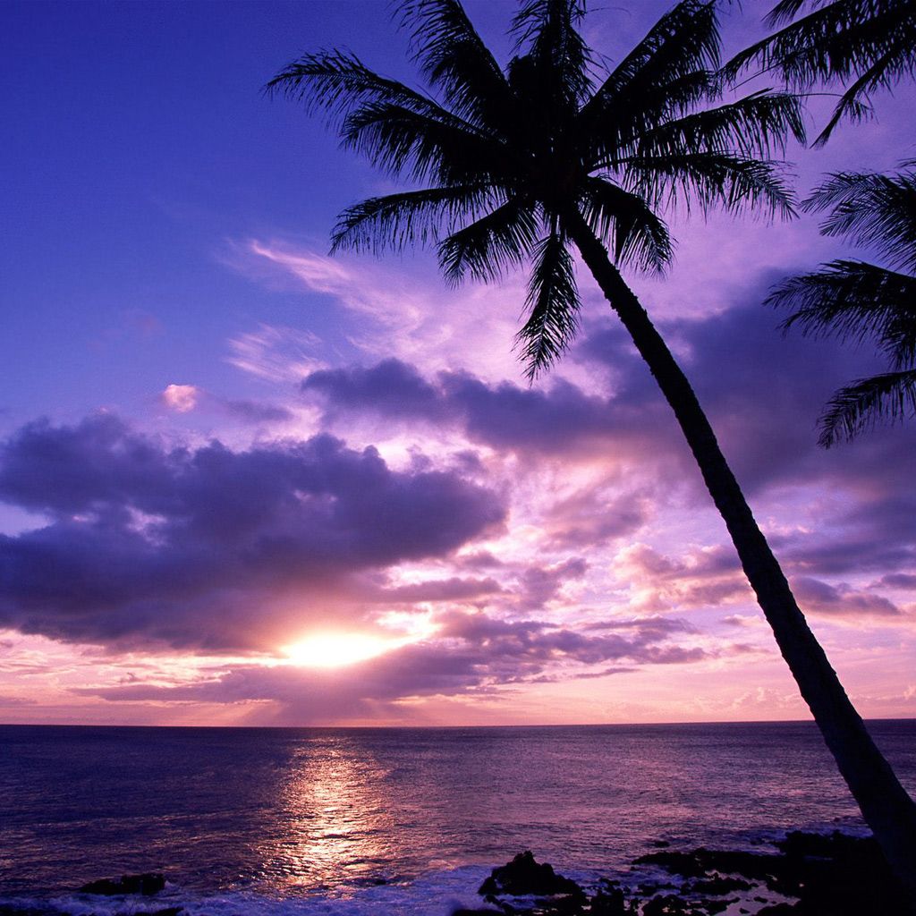 1024x1024 Nature - Tahitian Paradise Sunrise Beach - Download iPad/iPad2 ... Wallpaper