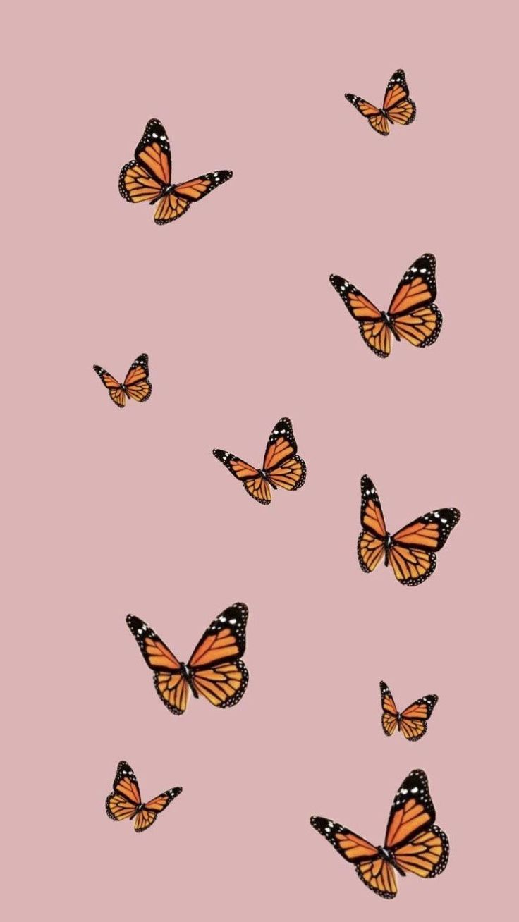 Aesthetic Butterfly Wallpapers - 4k, HD Aesthetic Butterfly Backgrounds ...