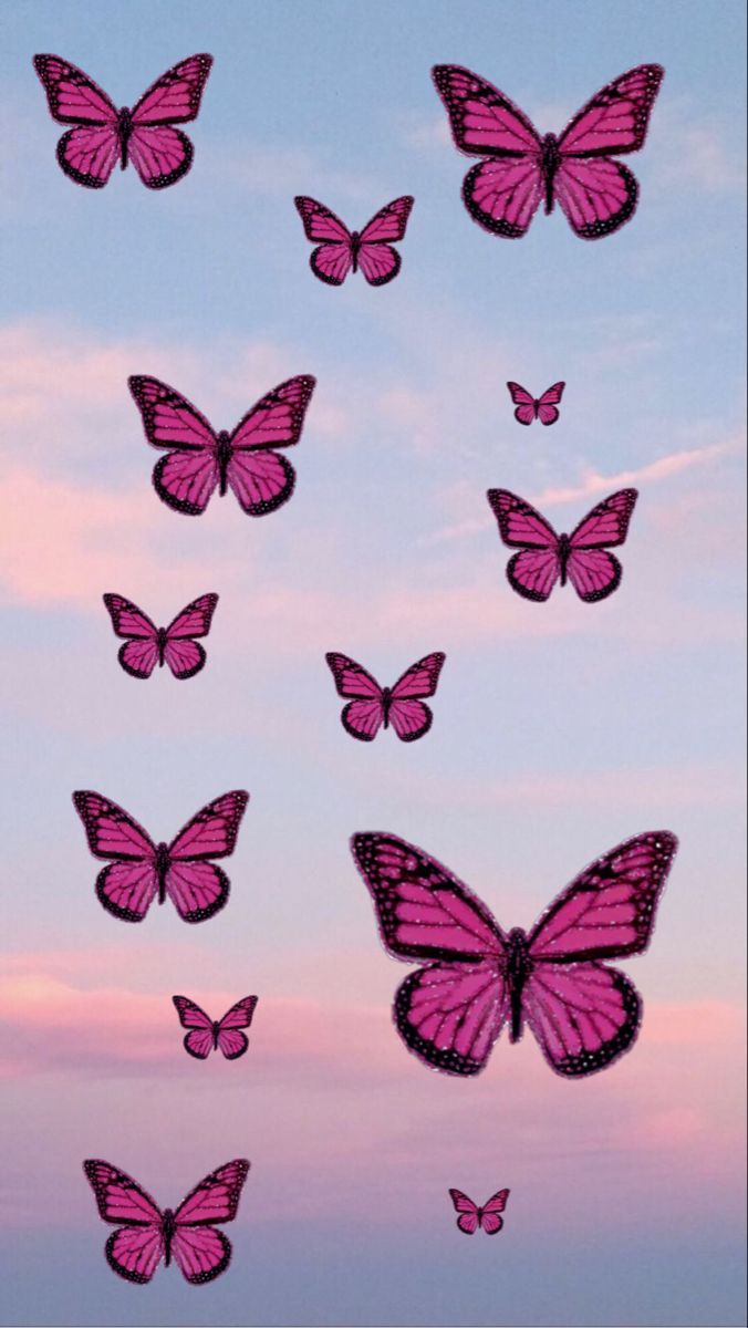 Aesthetic Butterfly Wallpapers - 4k, HD Aesthetic Butterfly Backgrounds ...