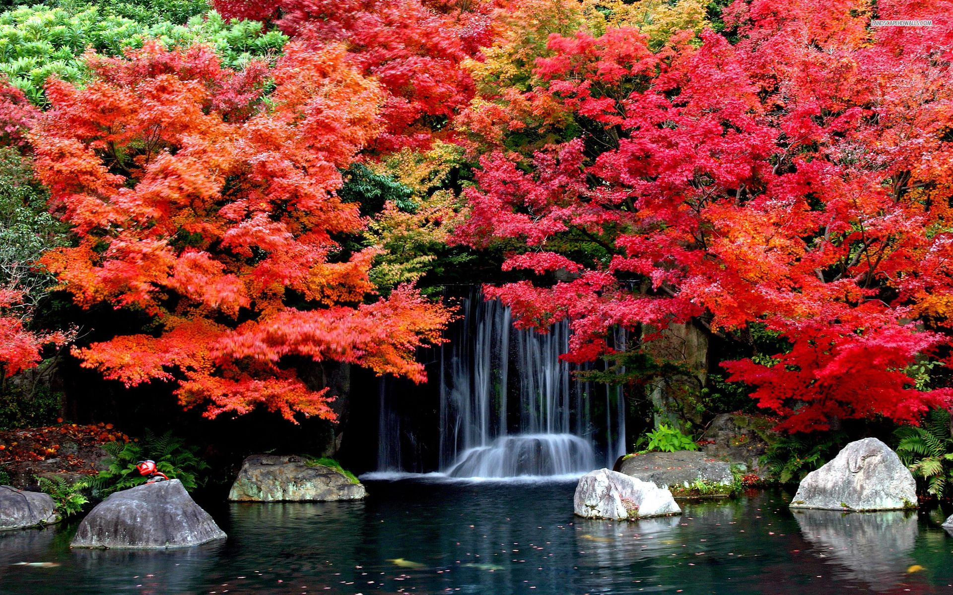 Fall Leaves Waterfall Wallpapers - 4k, HD Fall Leaves Waterfall ...