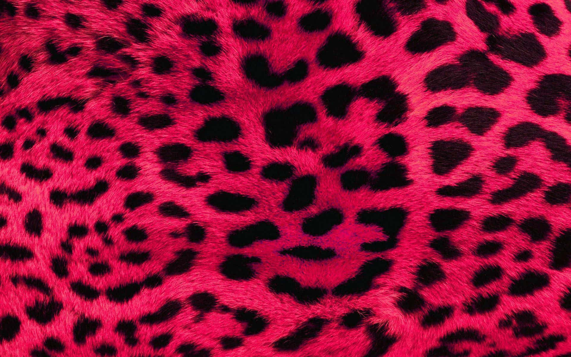 1920x1200 Aesthetic Cute Cheetah Print Wallpapers ... Wallpaper