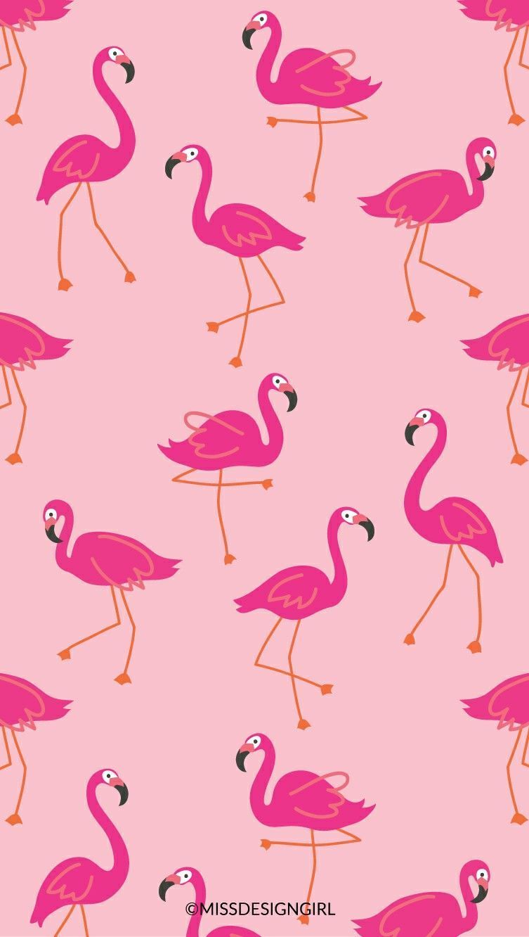 Cartoon Flamingo Wallpapers - 4k, HD Cartoon Flamingo Backgrounds on ...