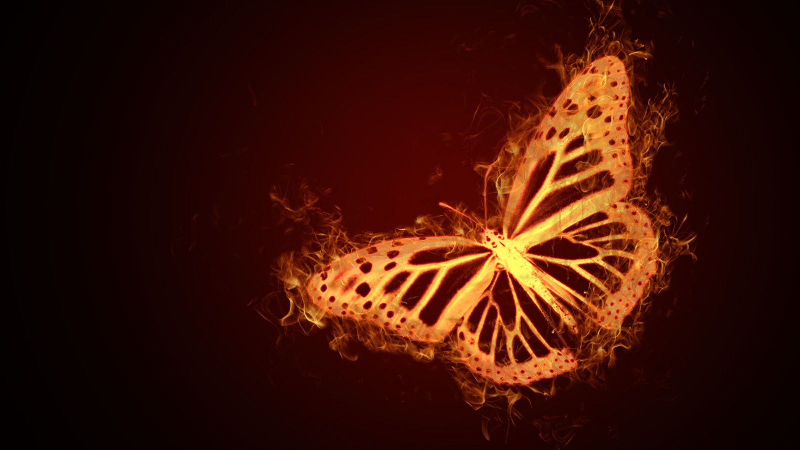 Flaming Butterfly Wallpapers - 4k, HD Flaming Butterfly Backgrounds on ...