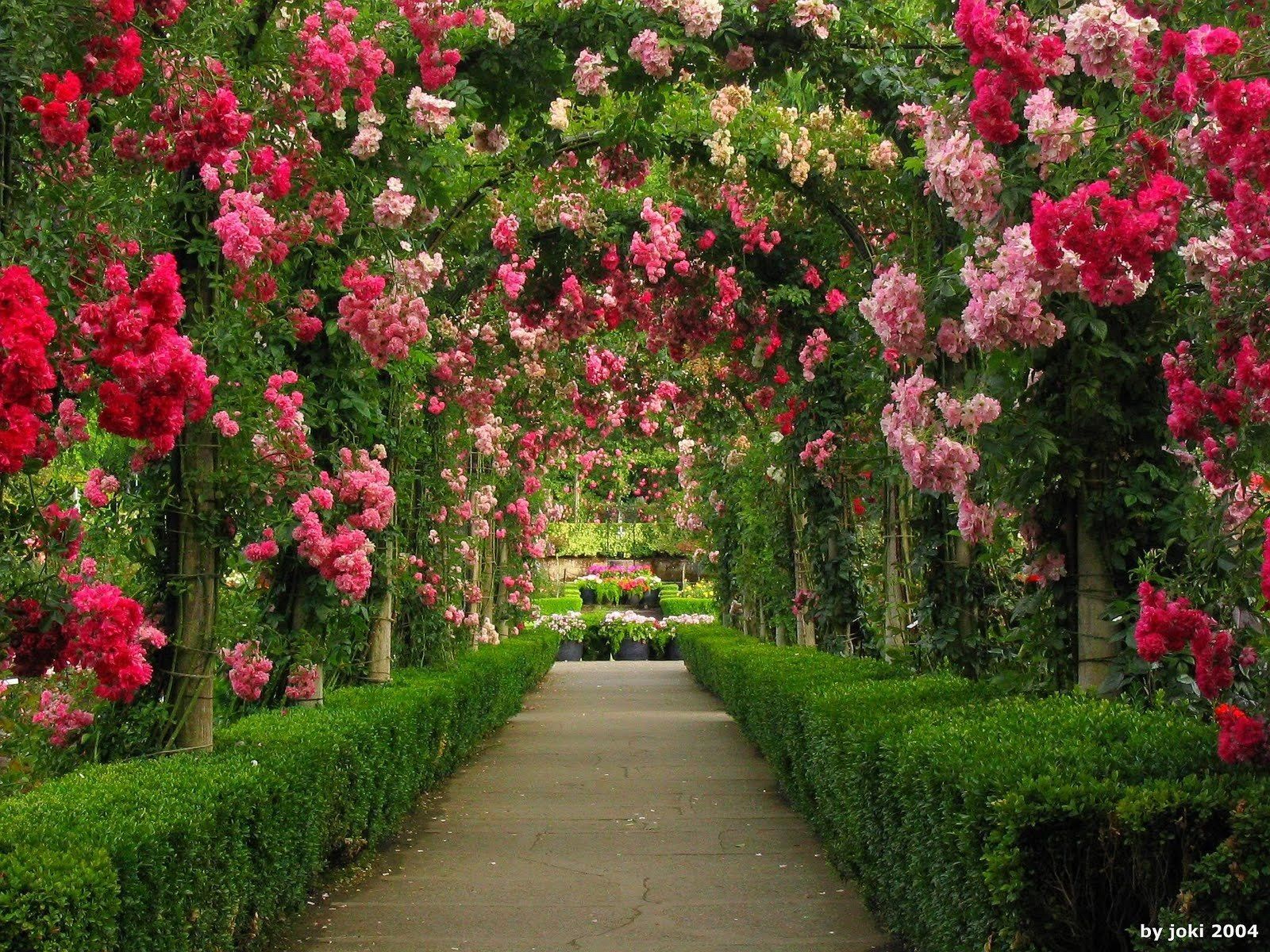 1600x1200 Arches in Rose Garden Wallpaper and Background Image. 