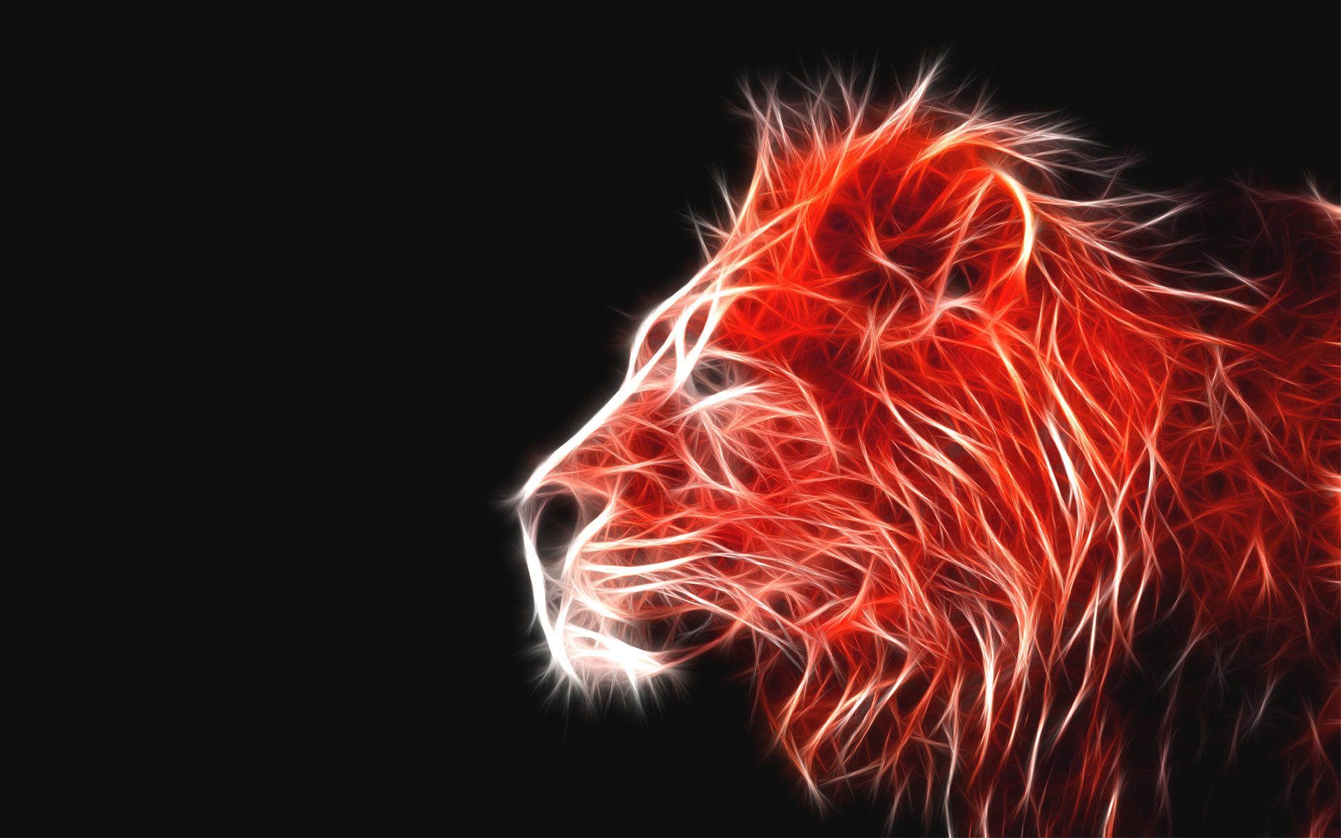 Lion Wallpapers - 4k, HD Lion Backgrounds On WallpaperBat