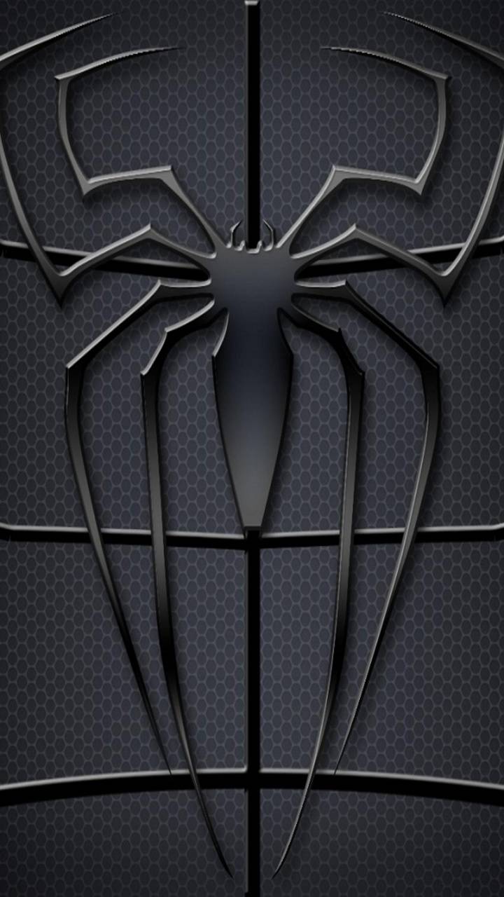 Spider Wallpapers - 4k, HD Spider Backgrounds on WallpaperBat