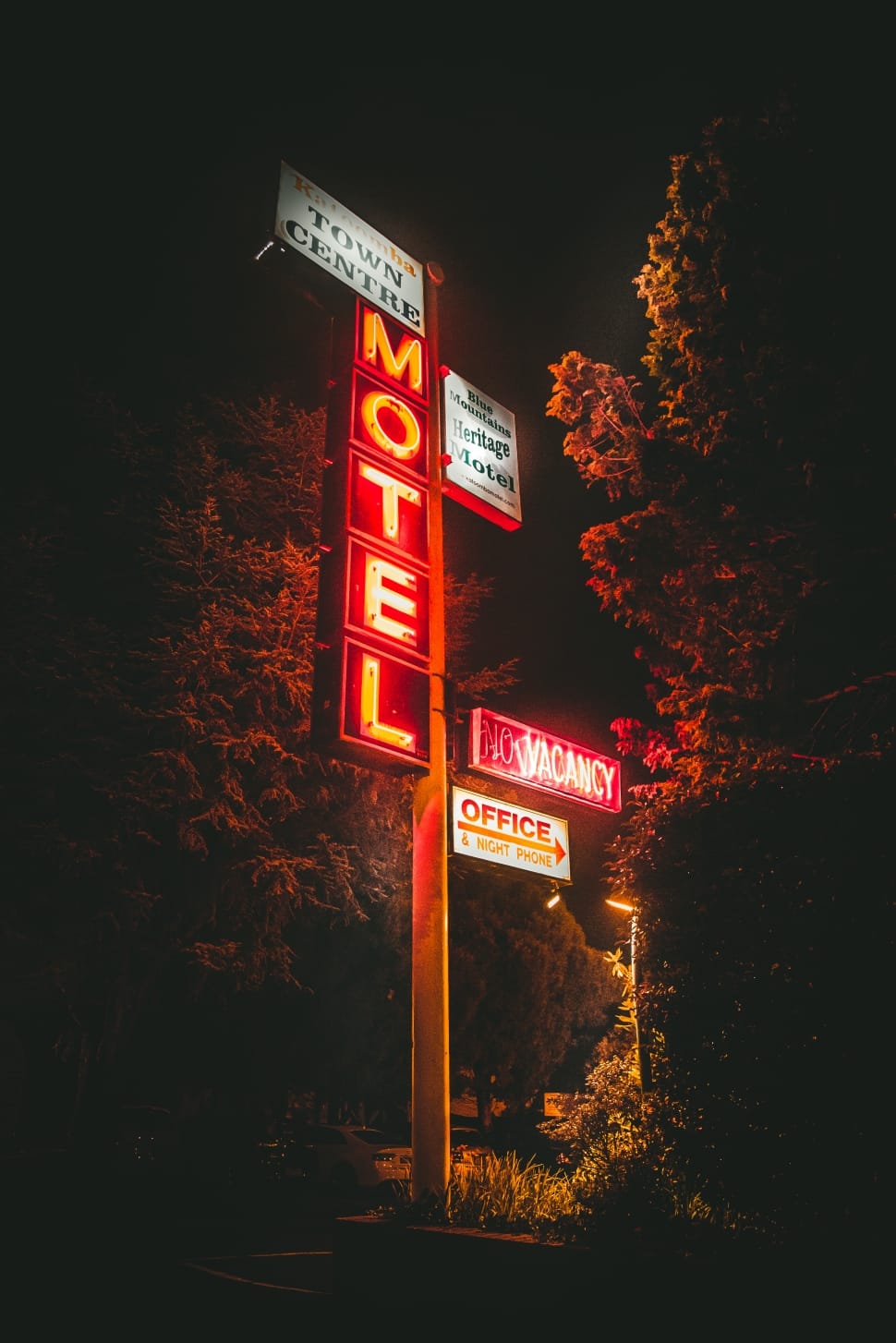 970x1454 motel neon signage near green trees during night time free image ... Wallpaper