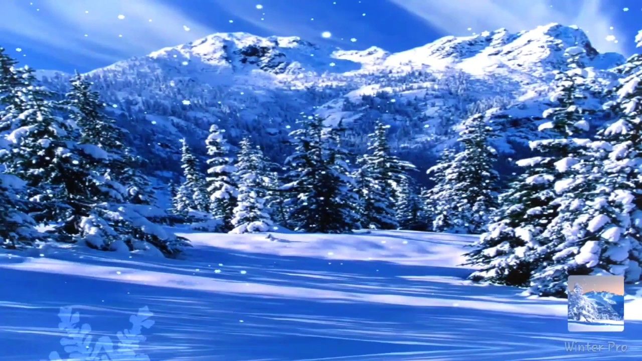 Live Winter Wallpapers - 4k, HD Live Winter Backgrounds on WallpaperBat