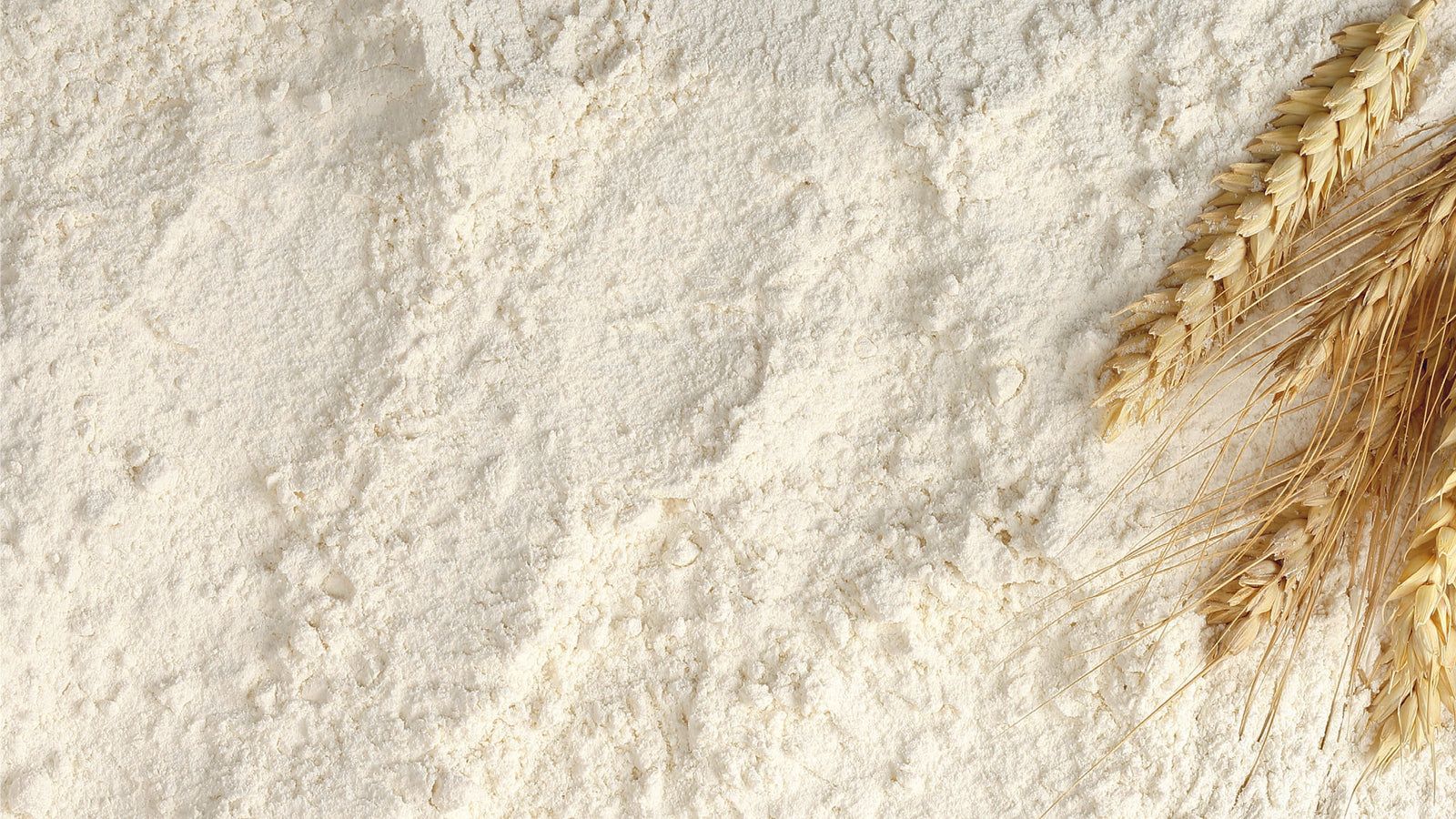 Flour Wallpapers - 4k, HD Flour Backgrounds on WallpaperBat