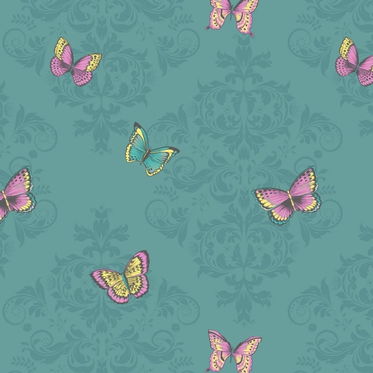 Teal Butterfly Wallpapers - 4k, HD Teal Butterfly Backgrounds on