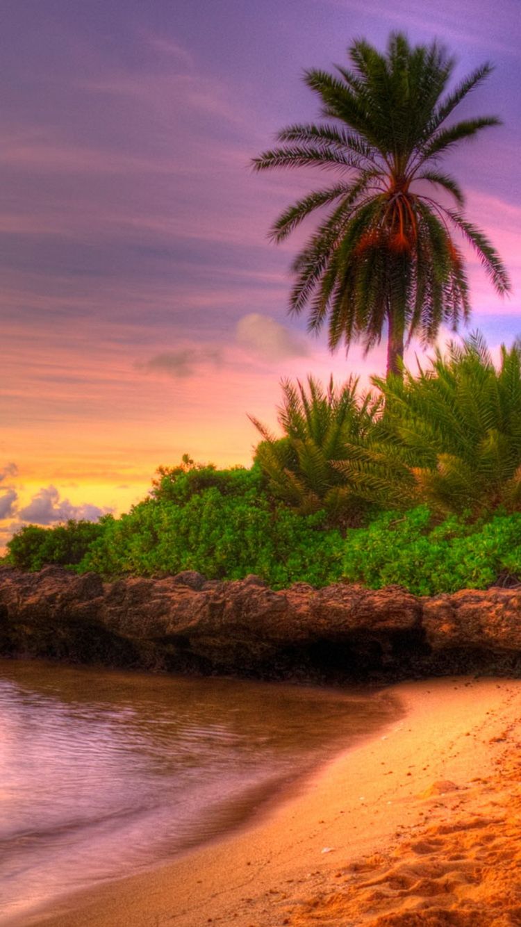 750x1334 Beach Sunset Tropical Island Iphone 6 Wallpaper - Summer Wallpaper ... Wallpaper