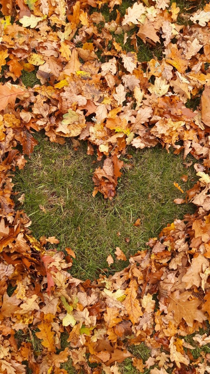 720x1280 Fall in love. Fall picture, Autumn photography on WallpaperBat