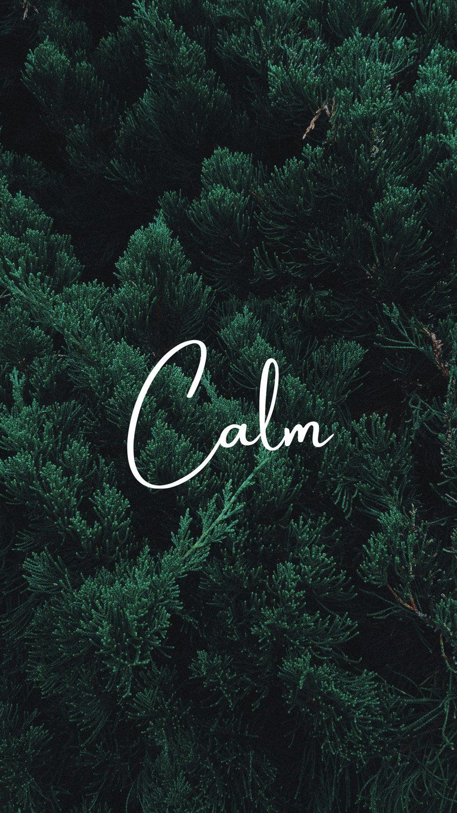 Dark Green Phone Wallpapers - 4k, HD Dark Green Phone Backgrounds on