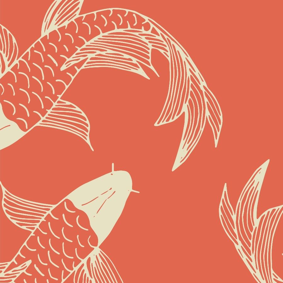 Koi Fish Wallpapers - 4k, HD Koi Fish Backgrounds on WallpaperBat