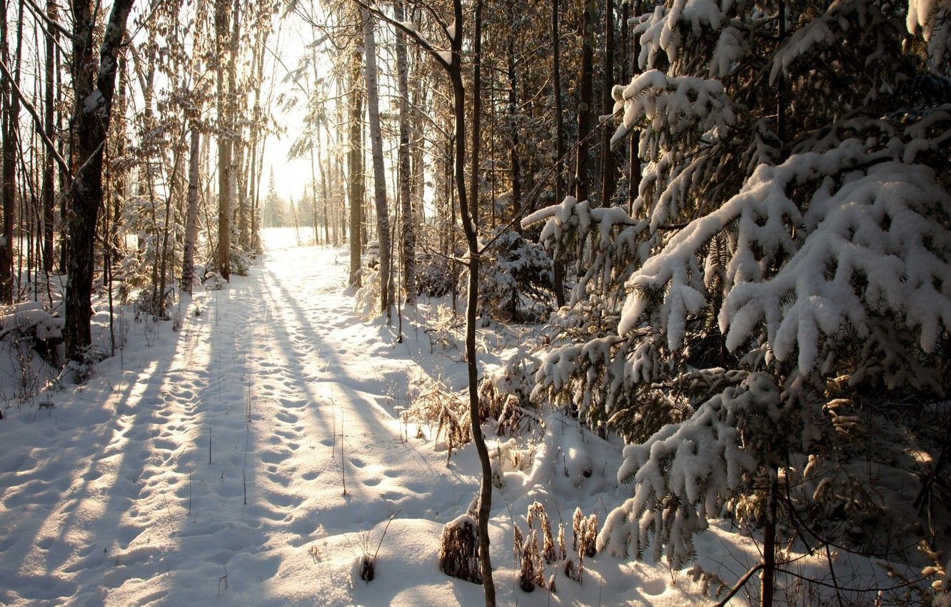 1332x850 Wallpaper winter, snow, Wisconsin, United States, winter, Phillips ... Wallpaper