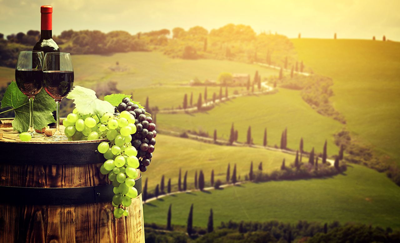 Tuscan Vineyard Wallpapers - 4k, HD Tuscan Vineyard Backgrounds on ...