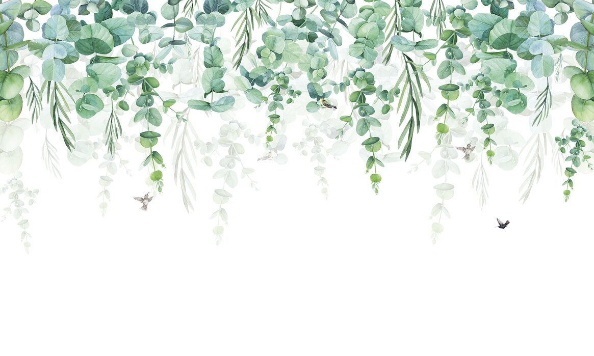 Greenary Wallpapers - 4k, HD Greenary Backgrounds on WallpaperBat