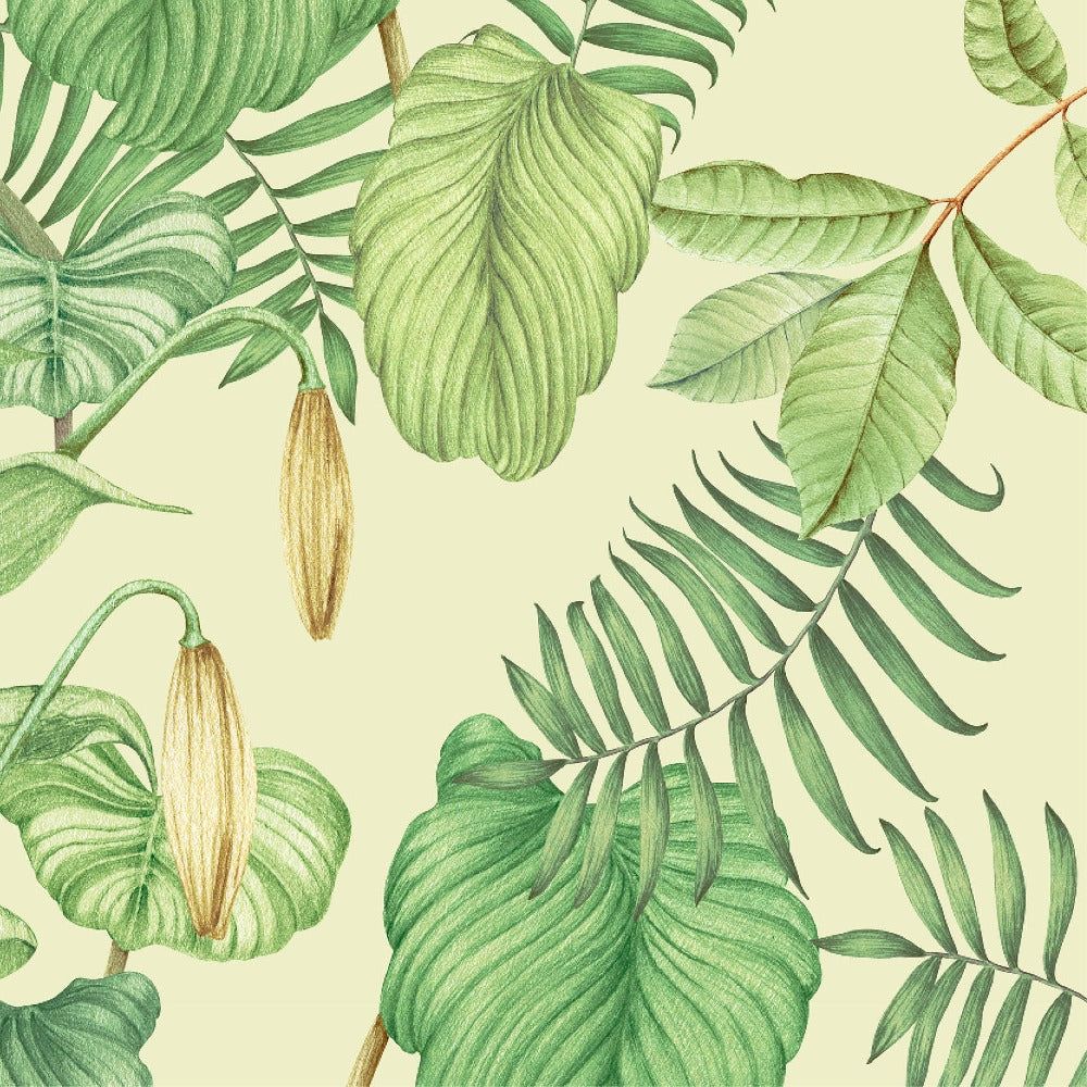 Greenary Wallpapers - 4k, HD Greenary Backgrounds on WallpaperBat