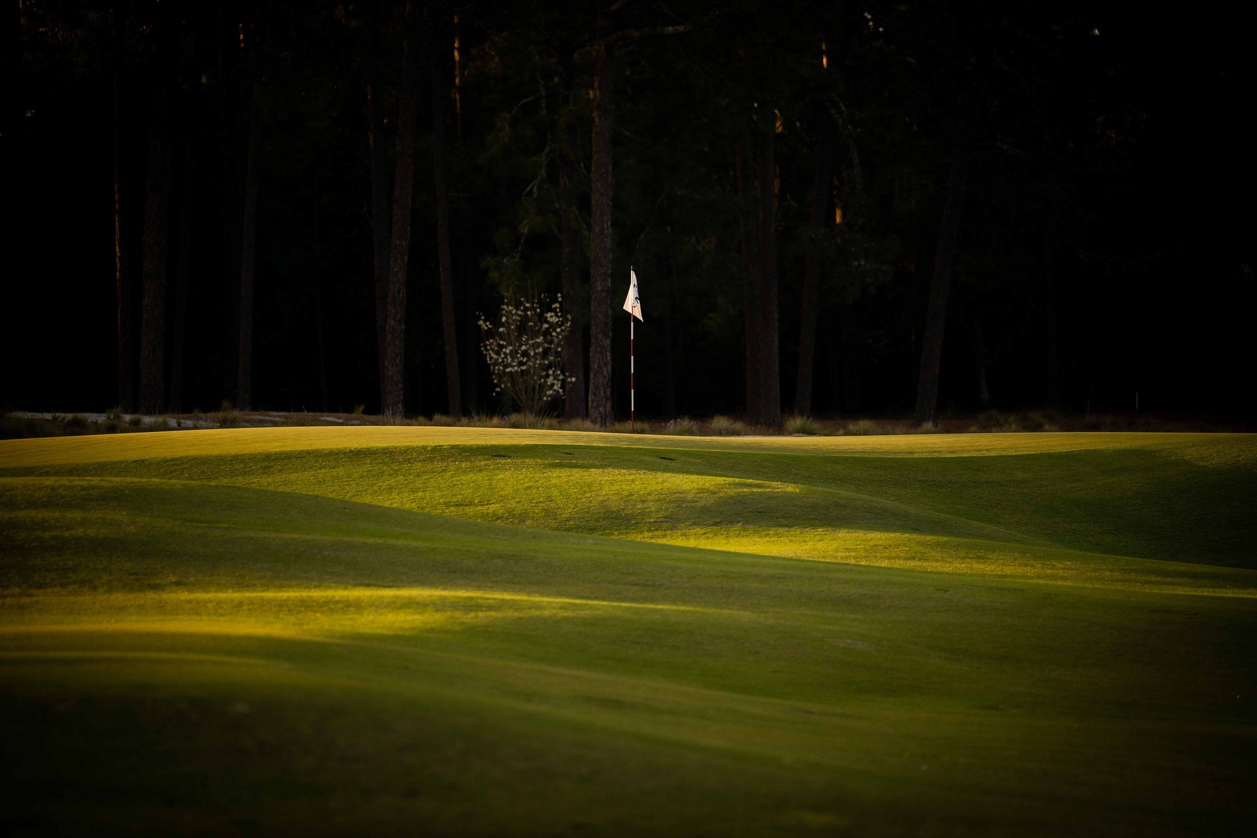 Pinehurst Golf Course Wallpapers - 4k, HD Pinehurst Golf Course ...