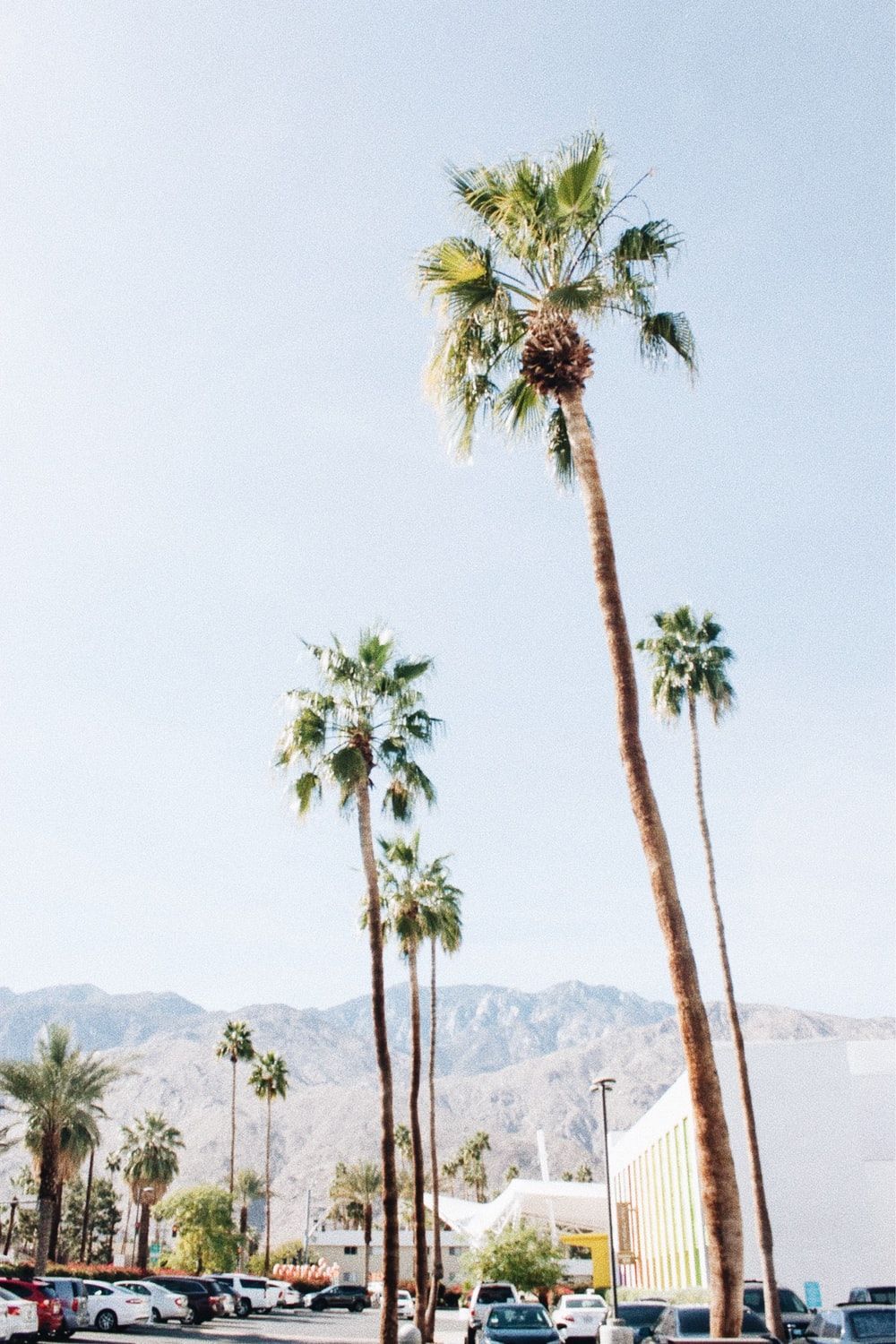 Palm Springs Wallpapers - 4k, HD Palm Springs Backgrounds on WallpaperBat