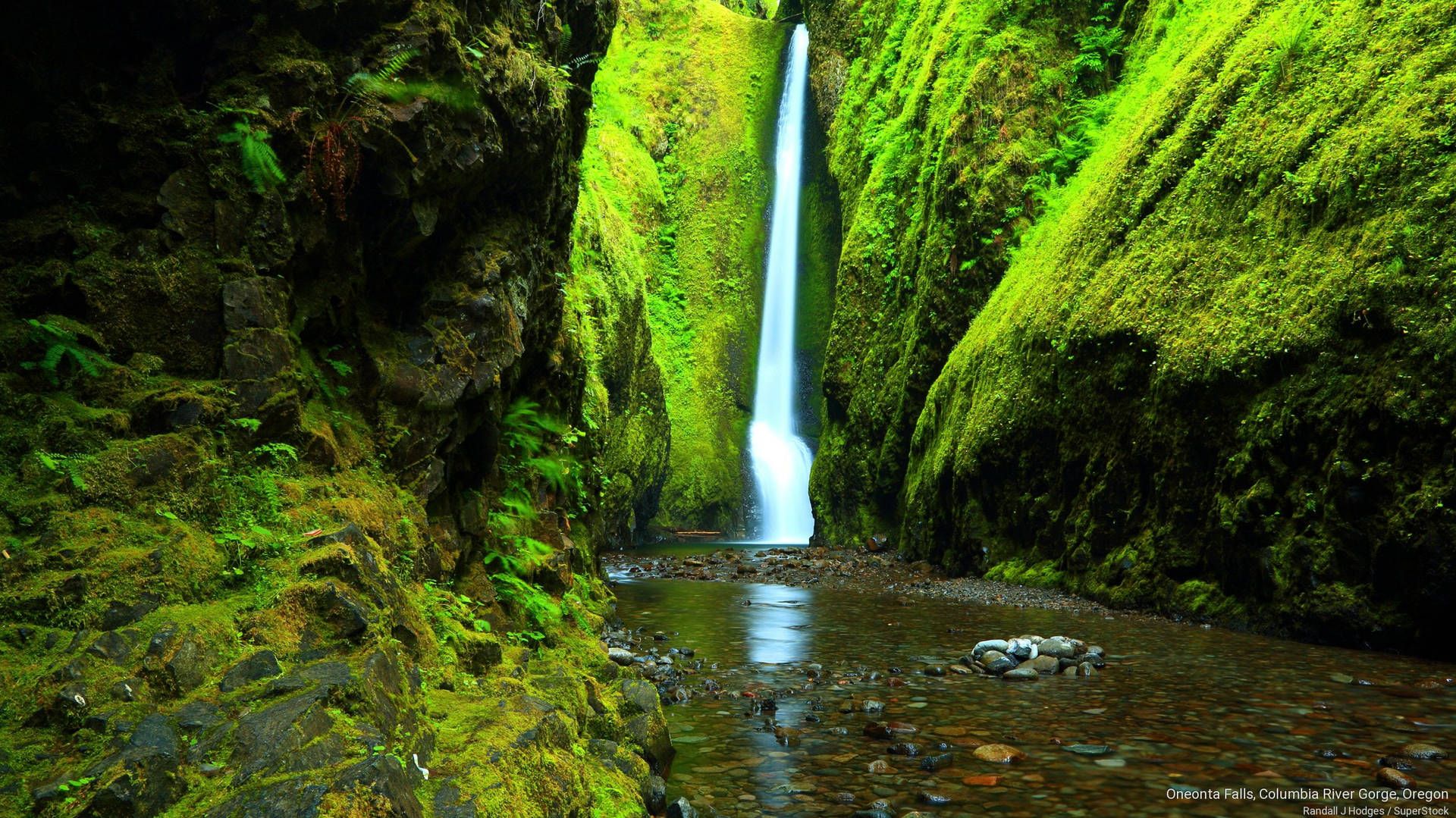 Oregon HD Wallpapers - 4k, HD Oregon Backgrounds On WallpaperBat