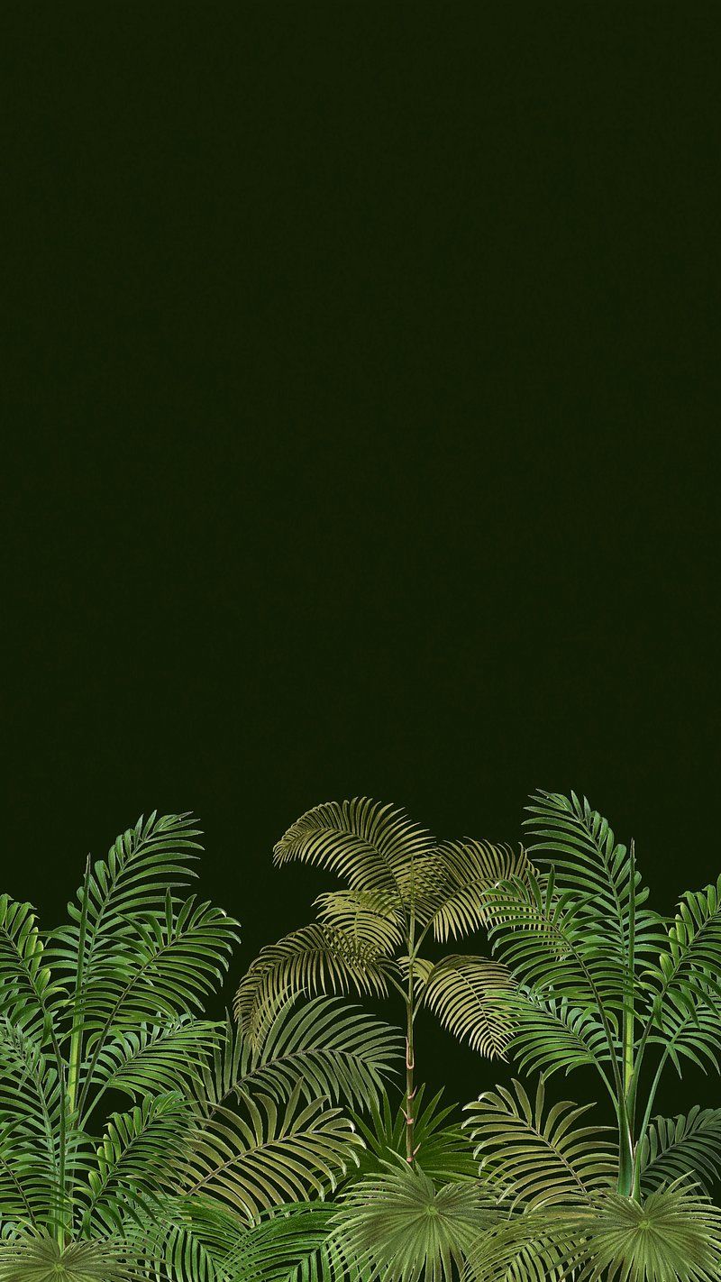 800x1422 Palm tree pattern iPhone wallpaper, | Premium Photo - rawpixel Wallpaper