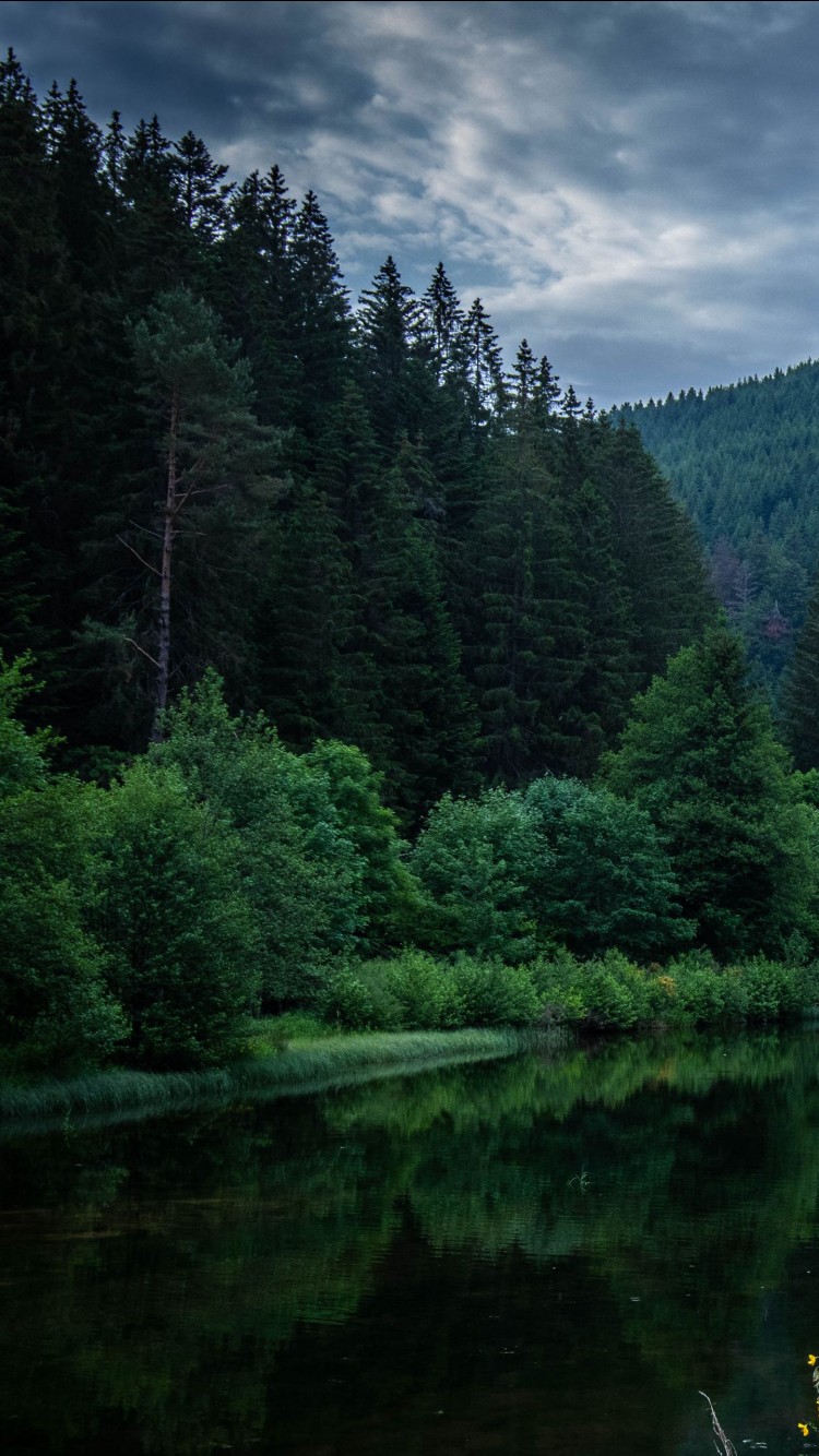 750x1334 River Between Green Trees Forest Mountain Slope Reflection On Water In Blue  Sky Background During Nighttime 4K HD Nature Wallpapers | HD Wallpapers |  ID #81563 Wallpaper