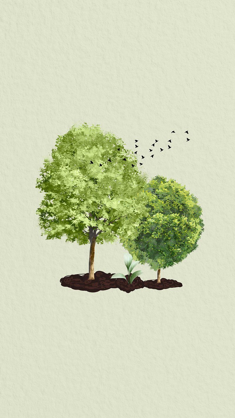 800x1422 Trees environment aesthetic iPhone wallpaper, | Free Photo Illustration -  rawpixel Wallpaper