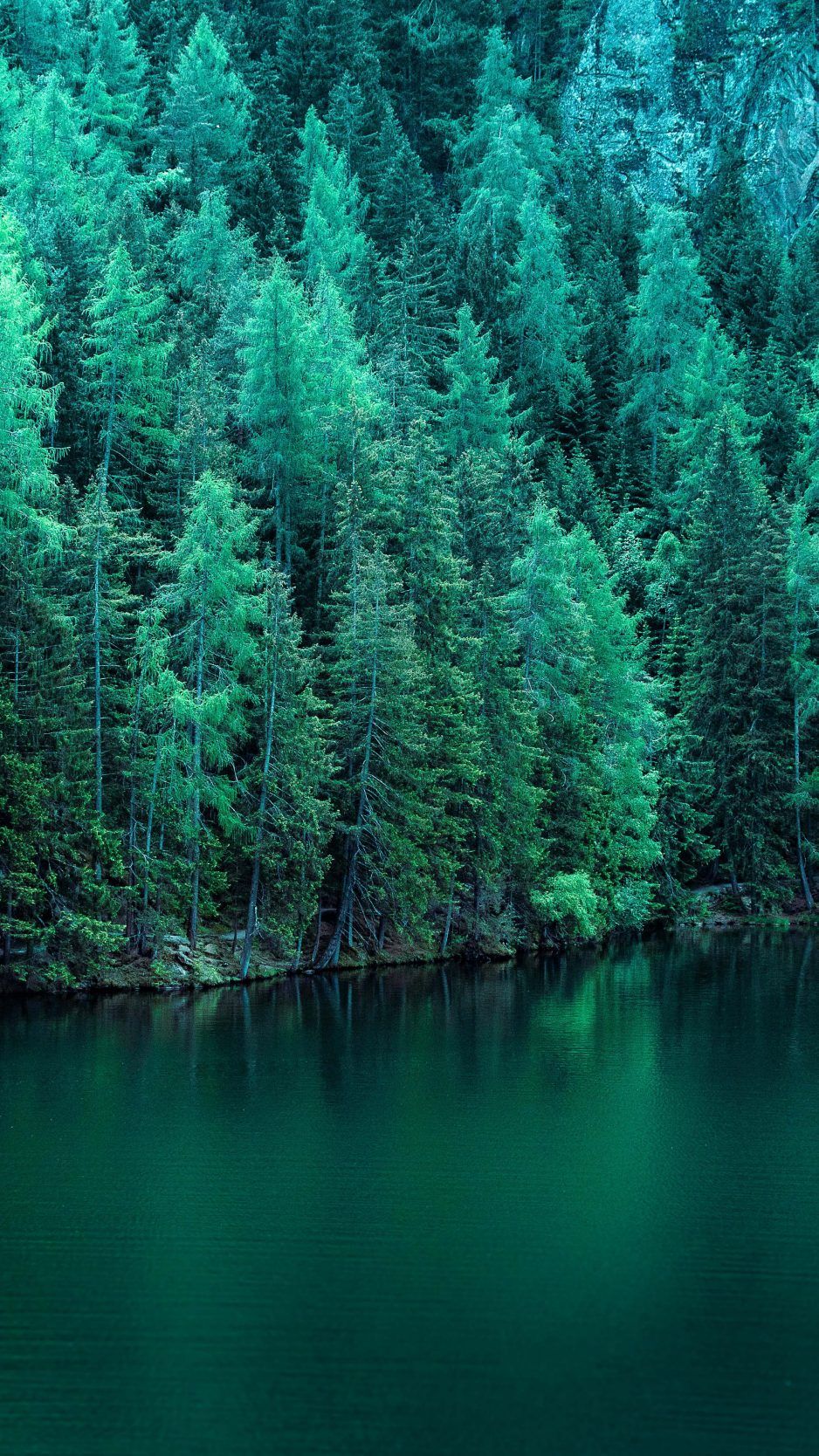 938x1668 Green Trees Along Lake 5K Wallpaper - Best Wallpapers Wallpaper